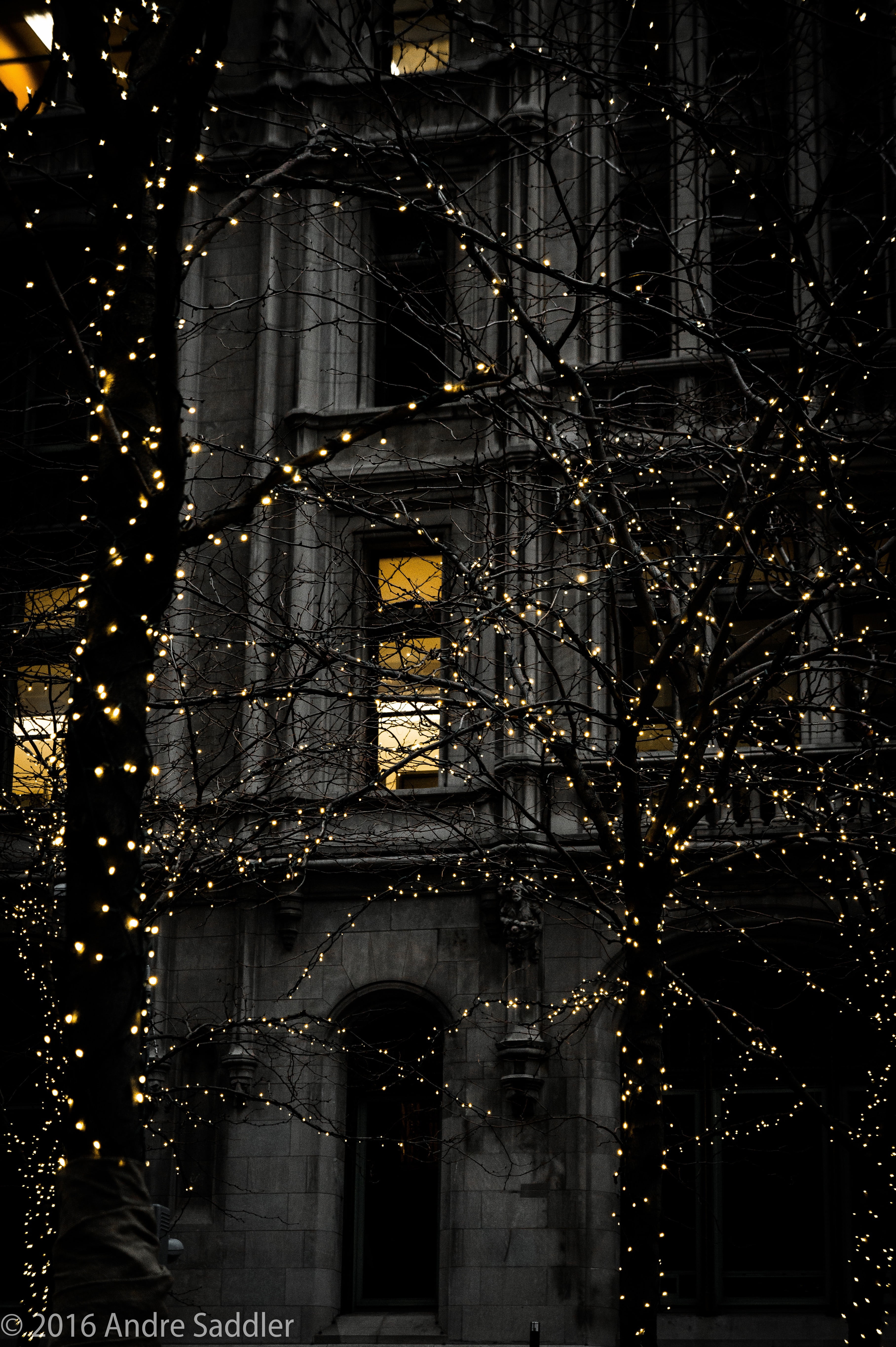 nature, built structure, trees, building, lighting equipment, building exterior, the past, portrait display, decoration, lights, plant, gray, religion, Phone HD Wallpaper