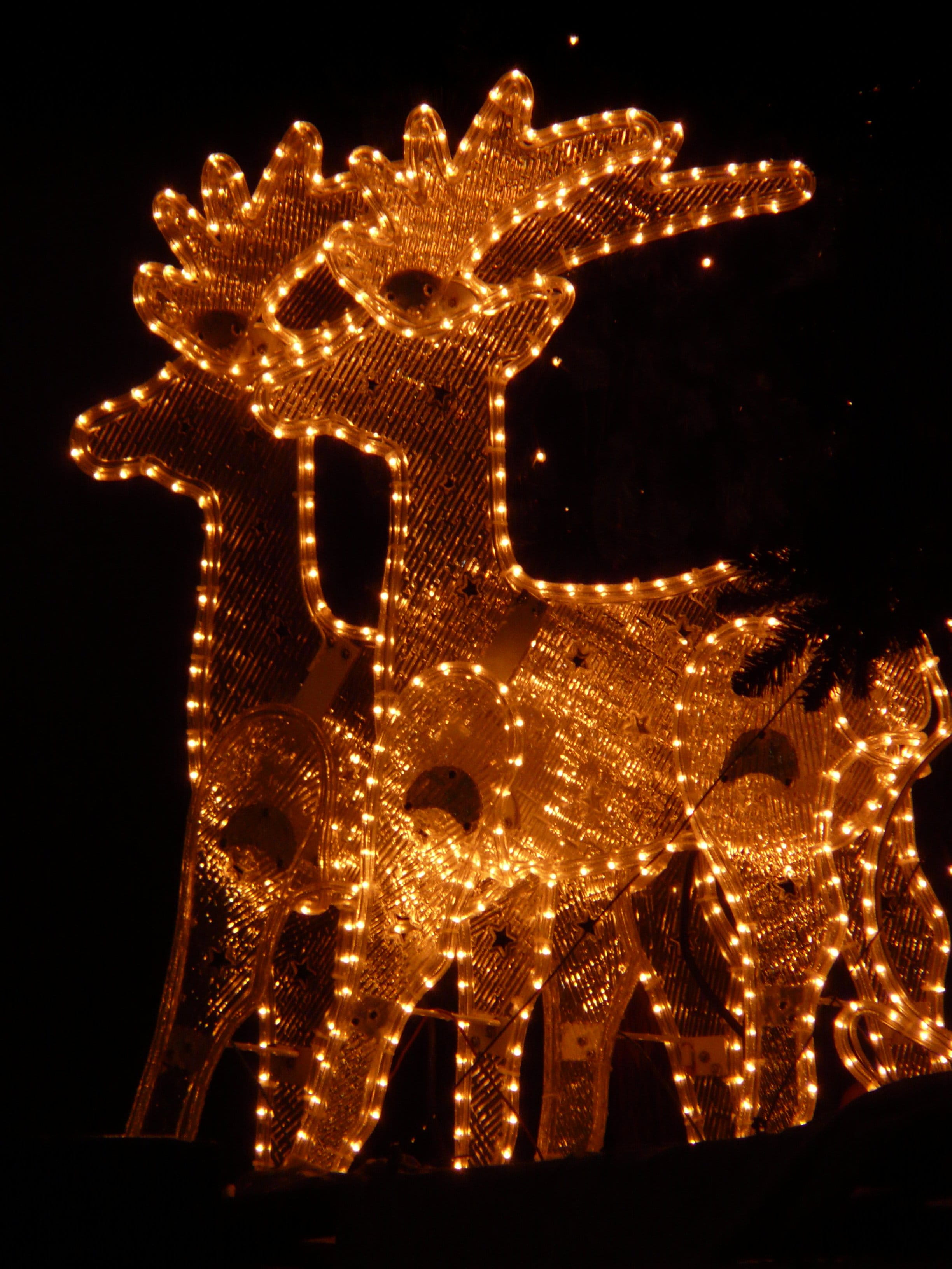 lichterkette, night, text, illuminated, western script, arts culture and entertainment, neon, light, communication, representation, Reindeer, technology, Phone HD Wallpaper