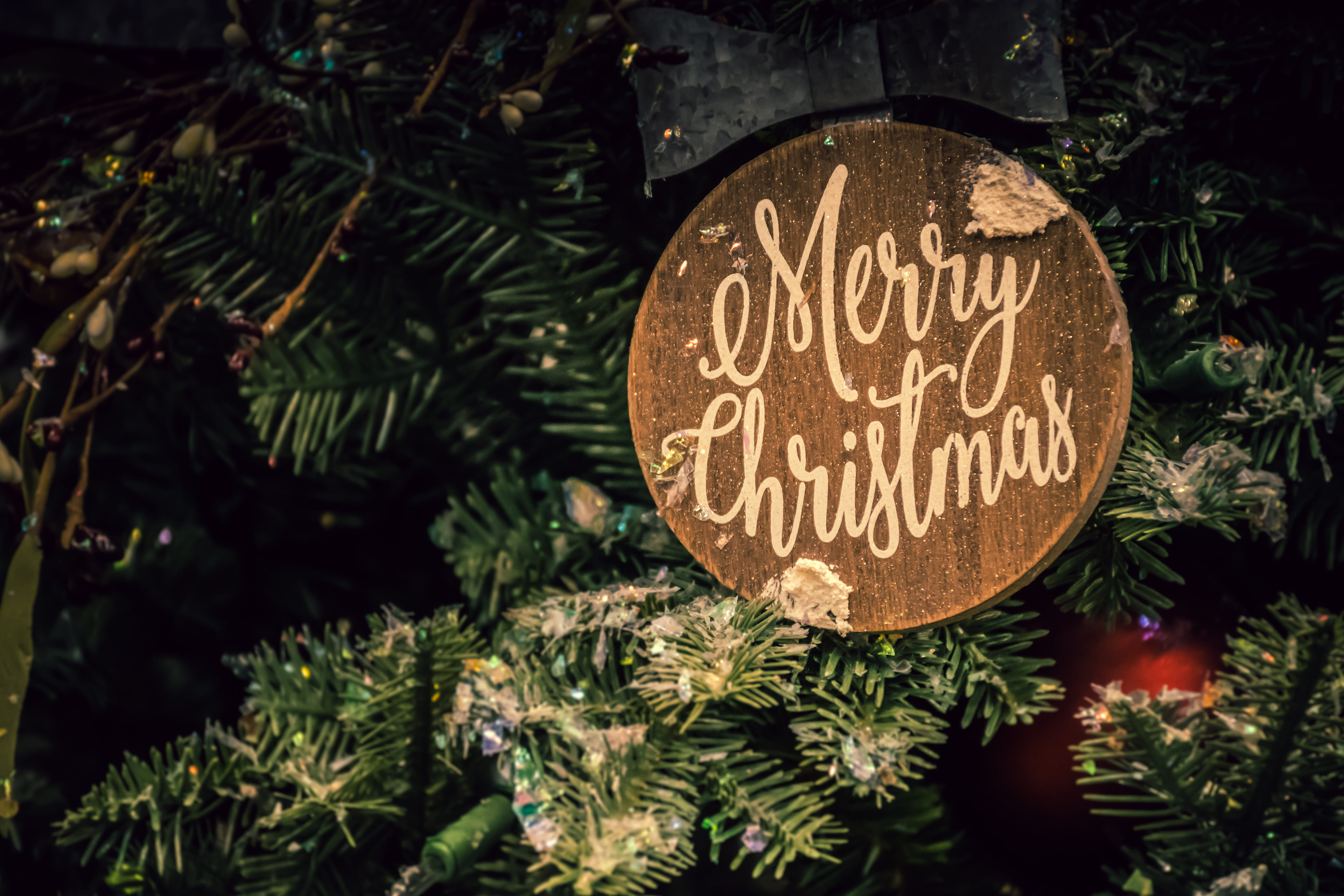 christmas, christmas tree, 5K, western script, branch, holiday, plant, christmas decoration, sign, merry christmas, winter, holiday - event, tree, event, HD Wallpaper