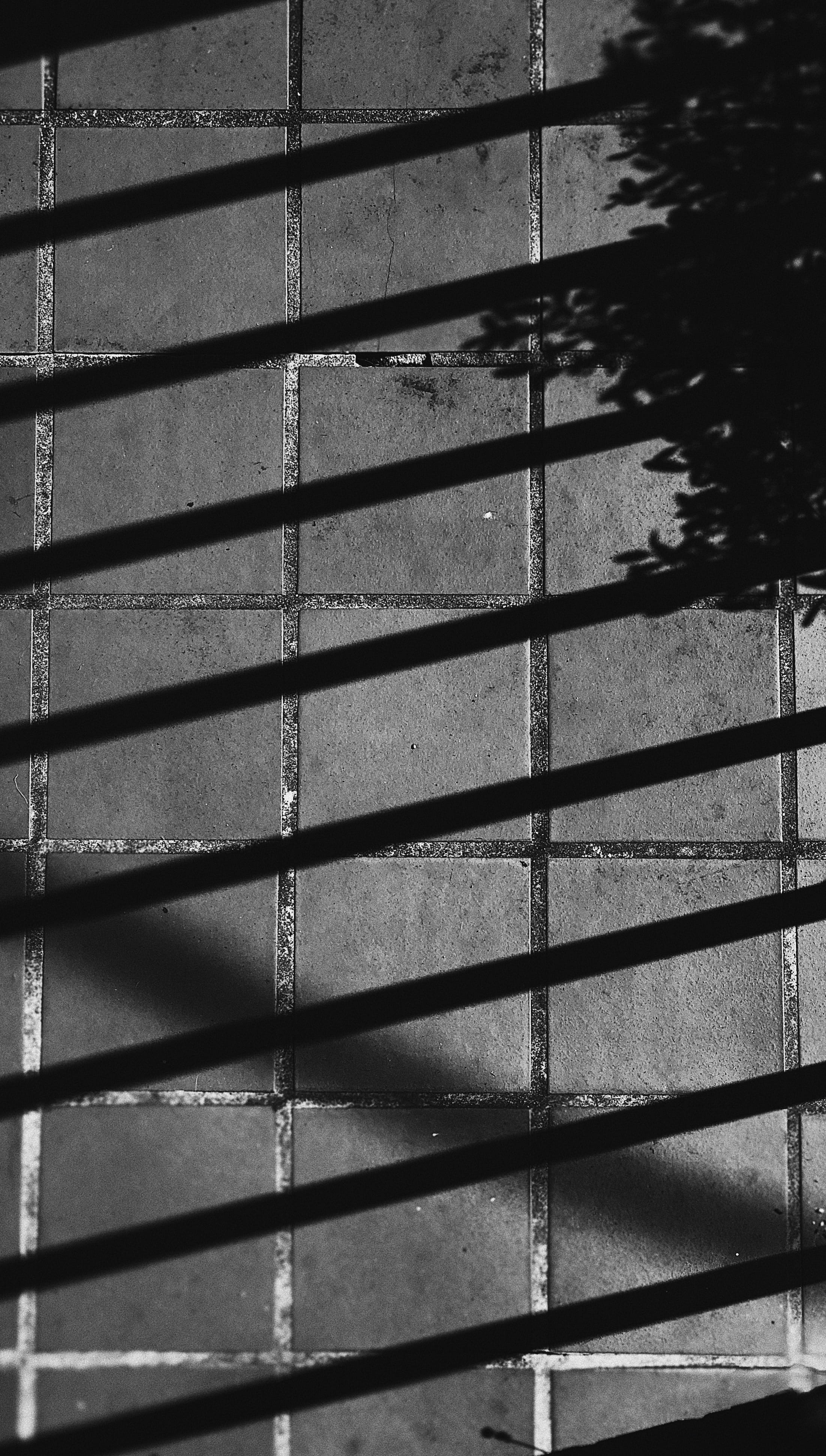 textured, texture, close-up, prison, outdoors, wall, window, built structure, 4K, handrail, metal, architecture, shadow, silhouette, aquatic, grille, wall - building feature, Phone HD Wallpaper