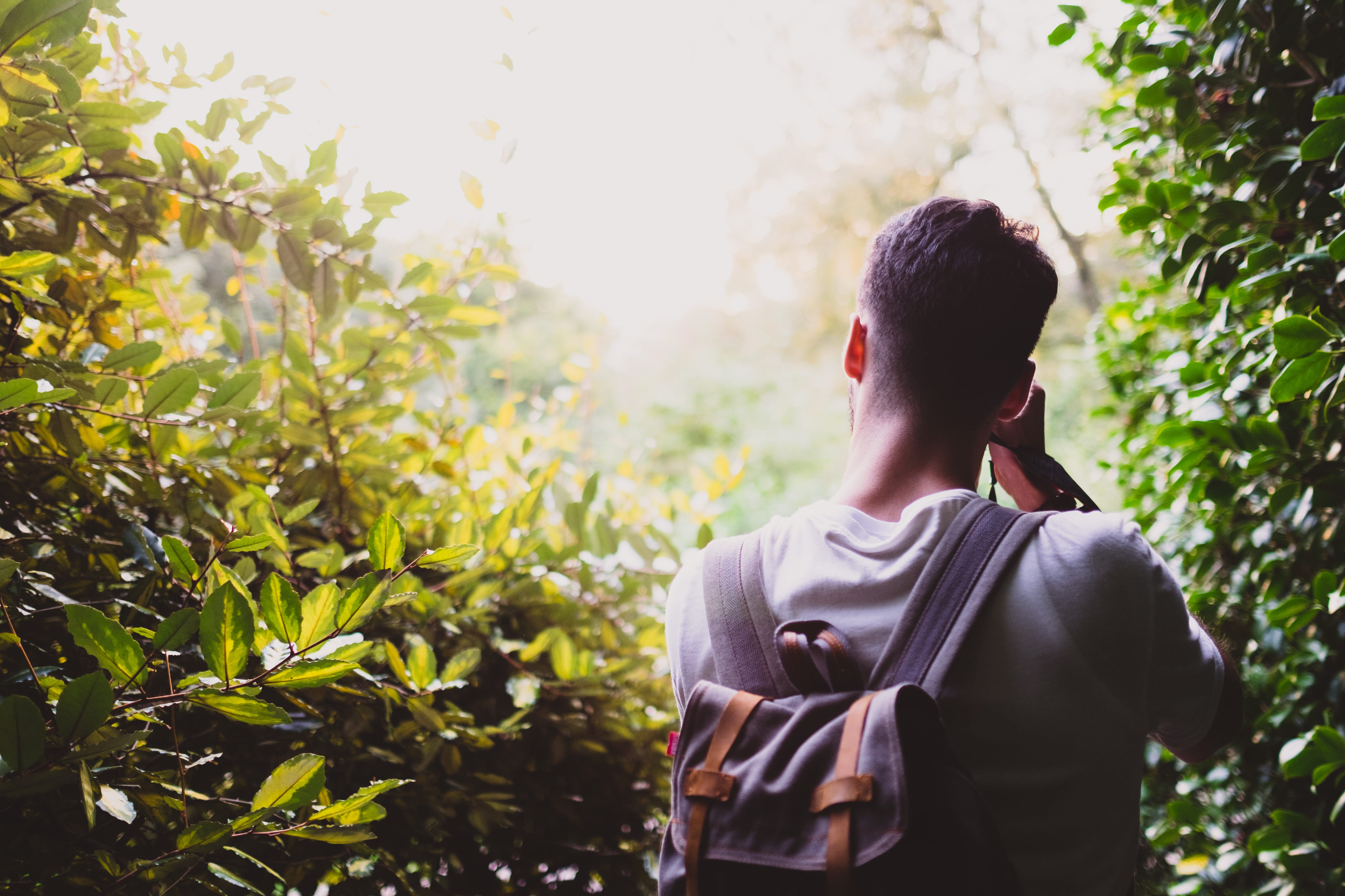 jungle, taking photo, growth, vase, young adult, men, nature, rear view, green, leisure activity, lifestyles, united kingdom, gray, waist up, sunlight, HD Wallpaper