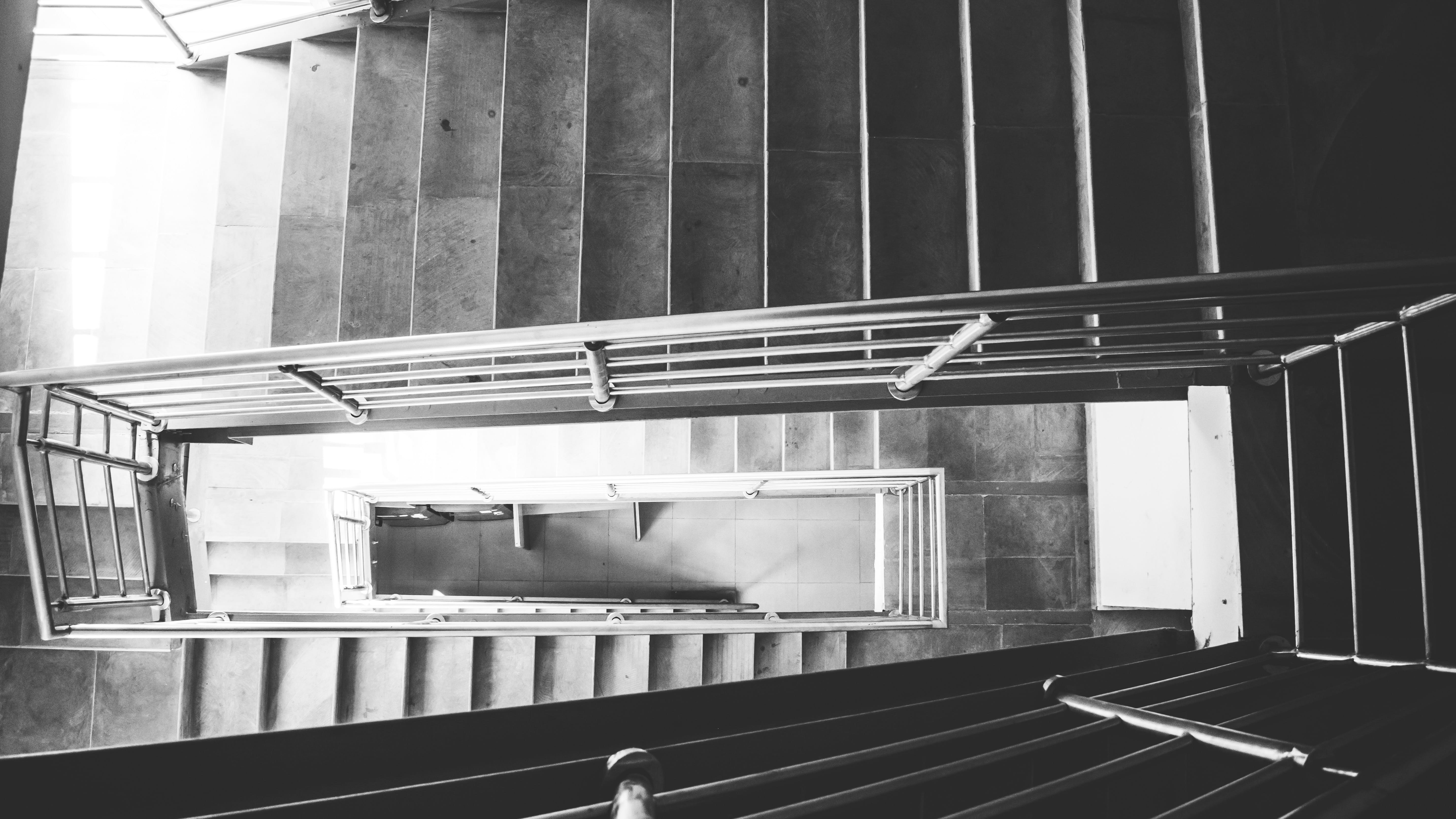 5K, built structure, outdoors, railing, tree, vase, nature, plant, black, grayscale, indoors, and, no people, day, steps and staircases, metal, building, HD Wallpaper
