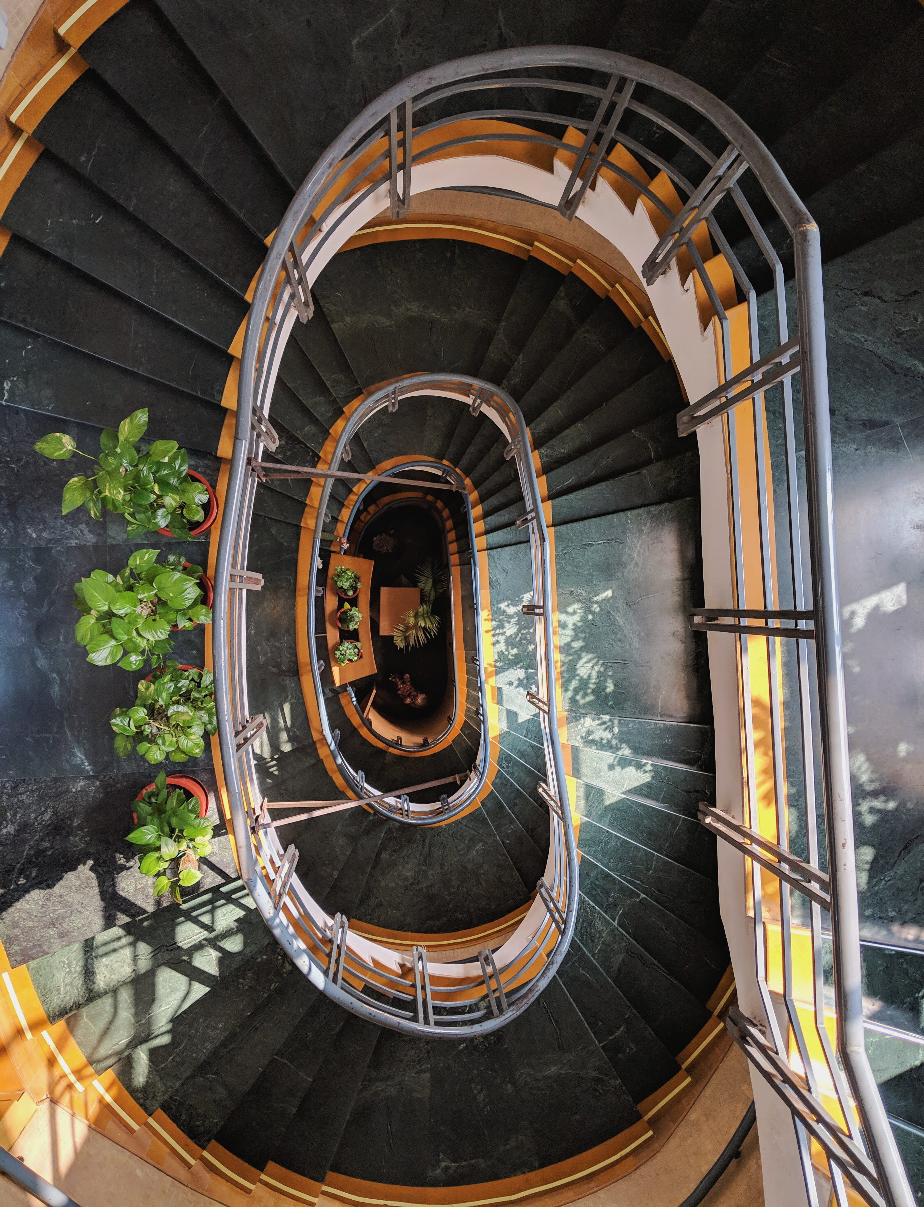 plant, 4K, architecture, staircase, high angle view, steps and staircases, metal, arch, blossom, food, spiral, animal, nature, black, fruit, iris, built structure, Phone HD Wallpaper