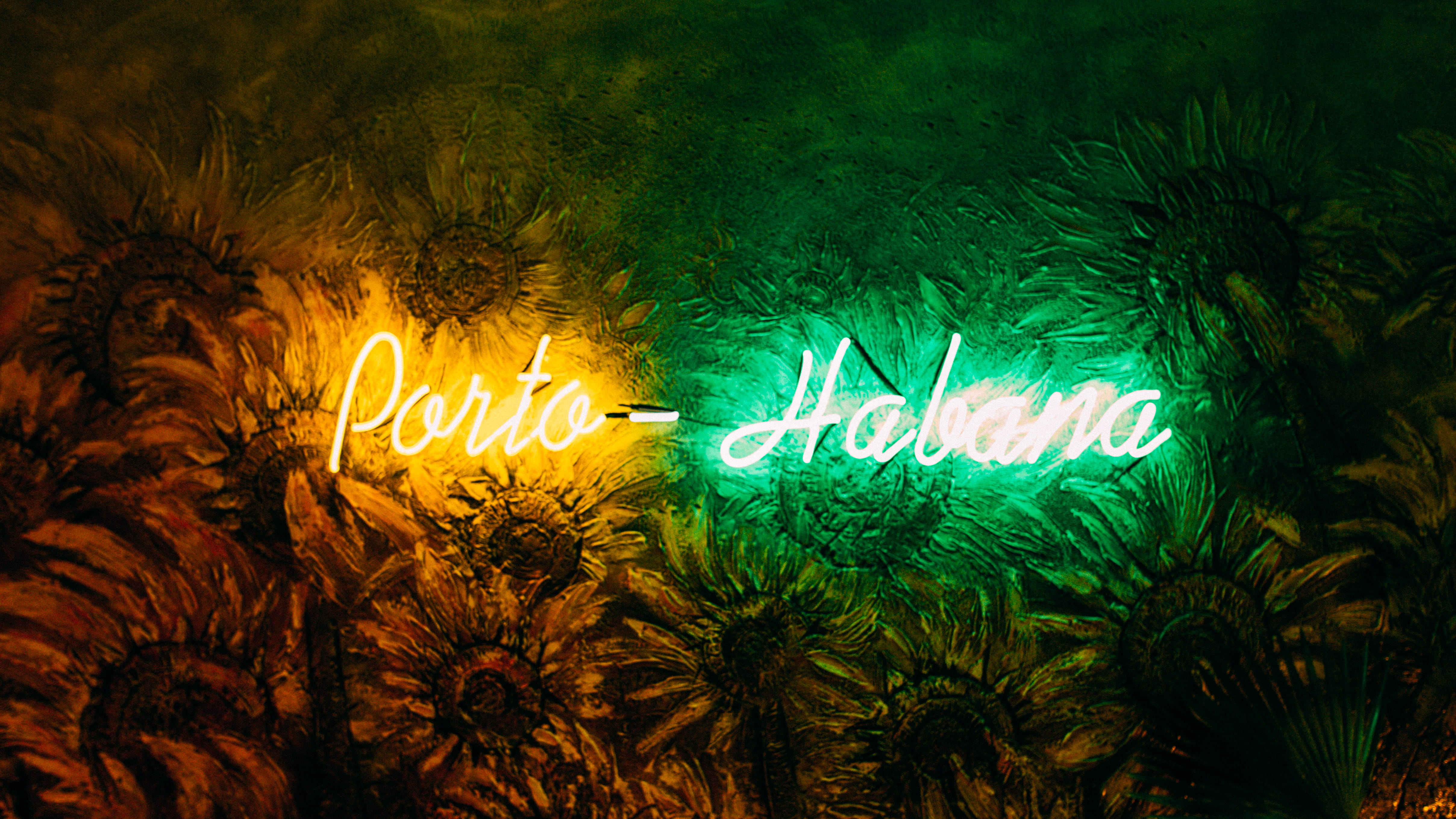 neon sign, animal, sign, animal wildlife, religion, art, night, illustration, 4K, sea, signage, animal themes, light - natural phenomenon, porto-habana, HD Wallpaper