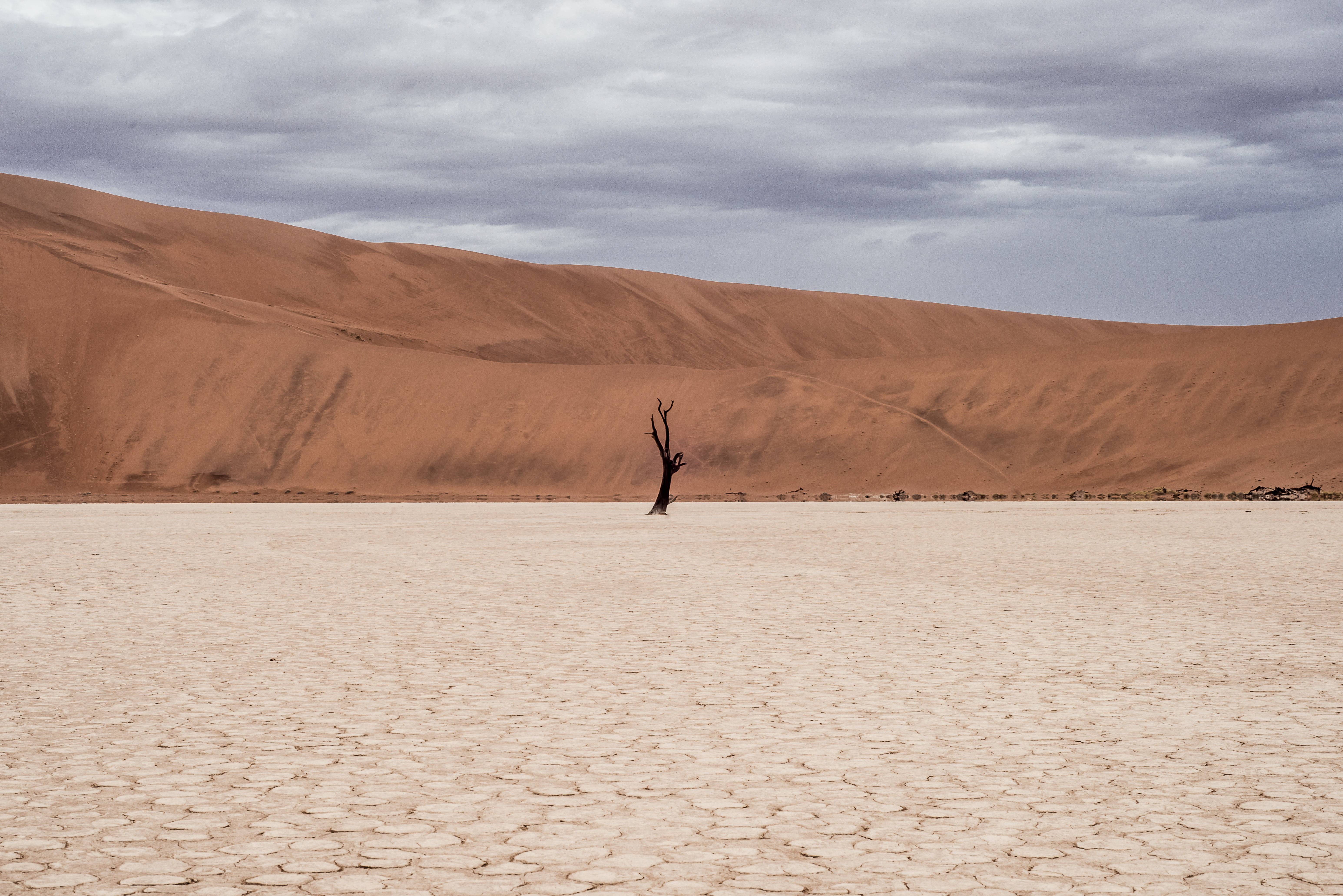 tranquility, real people, arid climate, non-urban scene, land, tranquil scene, parched, one person, outdoors, sky, landscape, men, environment, arms raised, HD Wallpaper