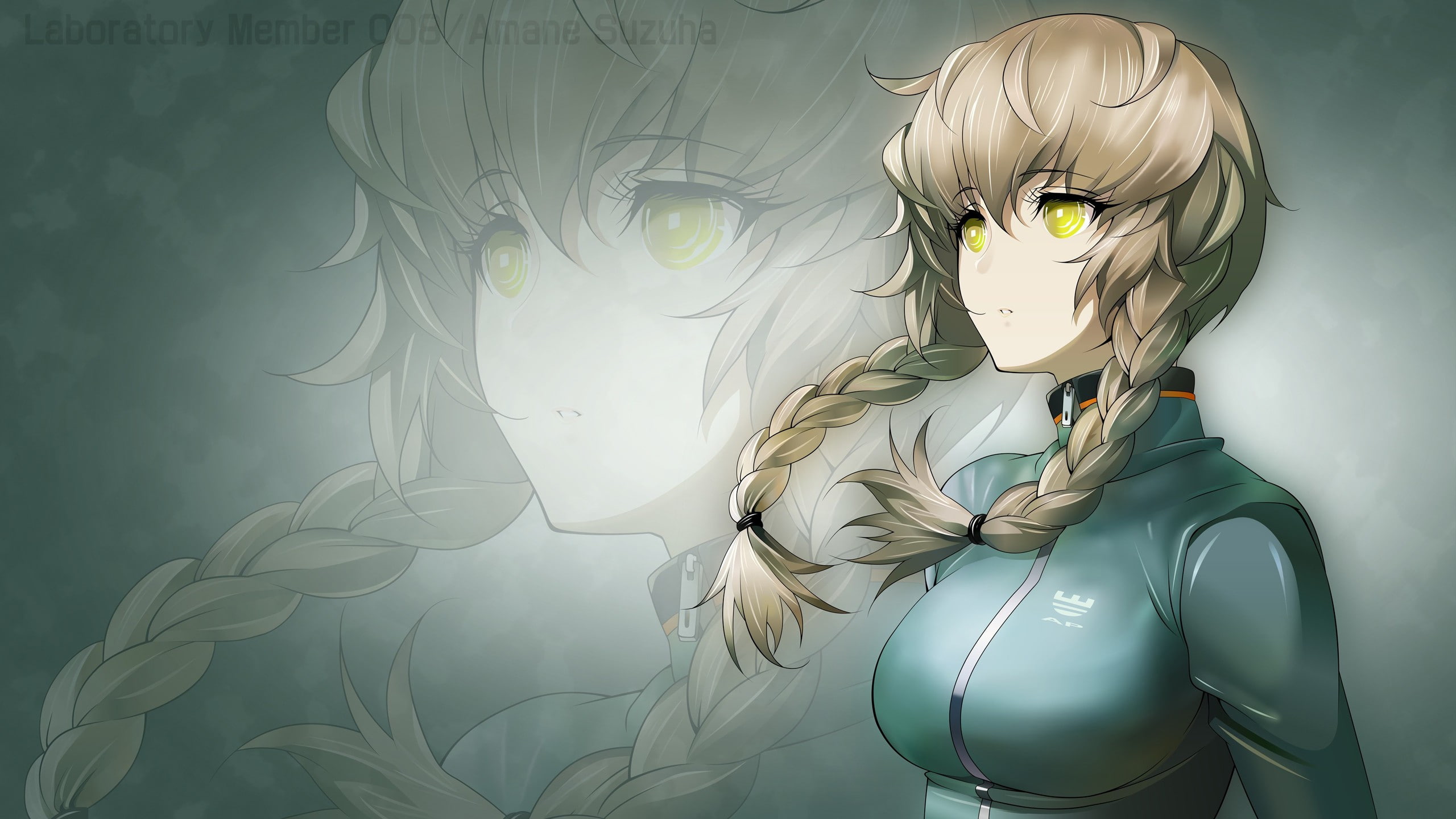 2K, Steins;Gate, HD Wallpaper