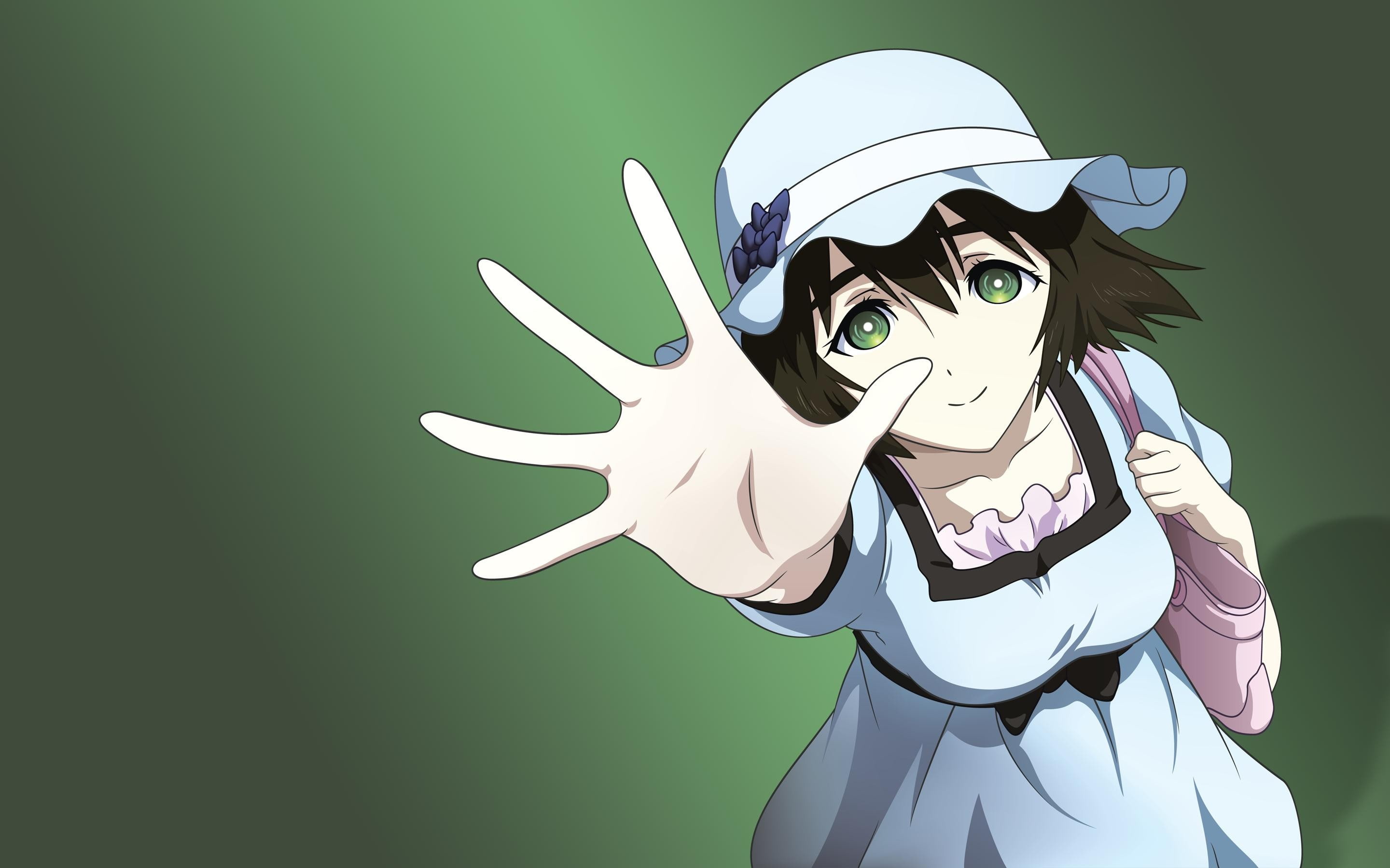 2K, Steins;Gate, HD Wallpaper