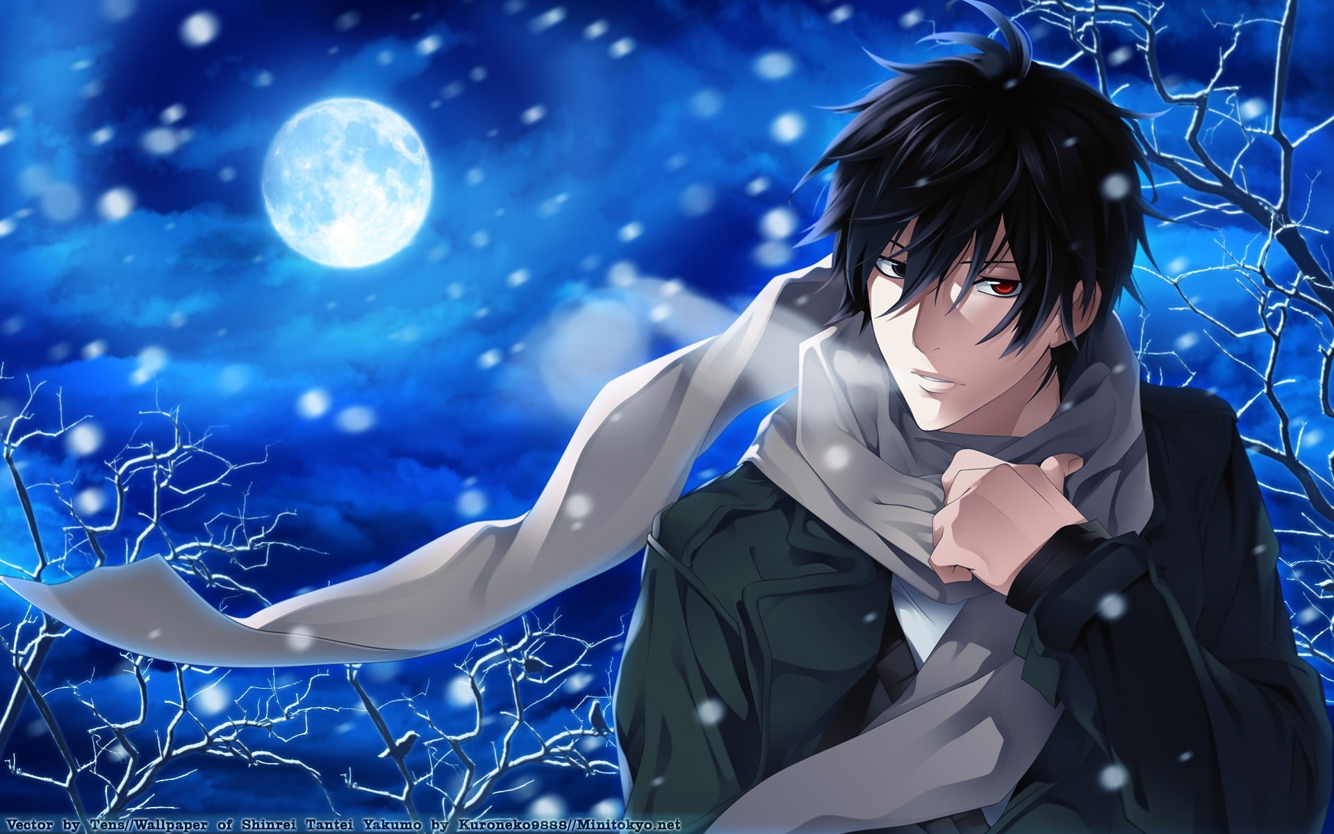 outdoors, front view, nature, Shinrei Tantei Yakumo, anime boys, three quarter length, leisure activity, looking, moon, Saitou Yakumo, hairstyle, blue, HD Wallpaper