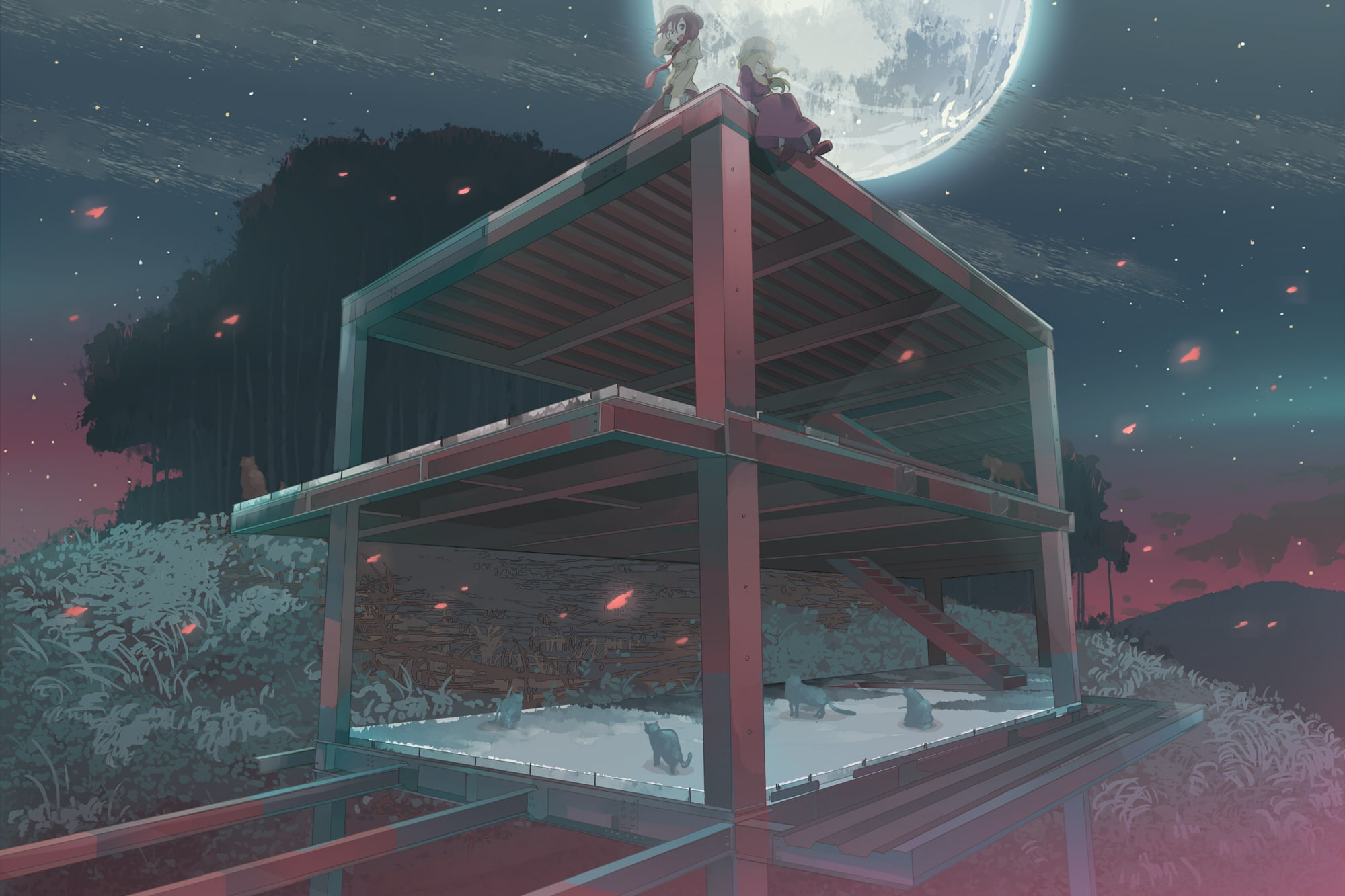 moon, hmmuk, cat, night, 1080P, touhou, han, leaves, usami, maribel, animal, shinta, renko, stairs, stars, HD Wallpaper