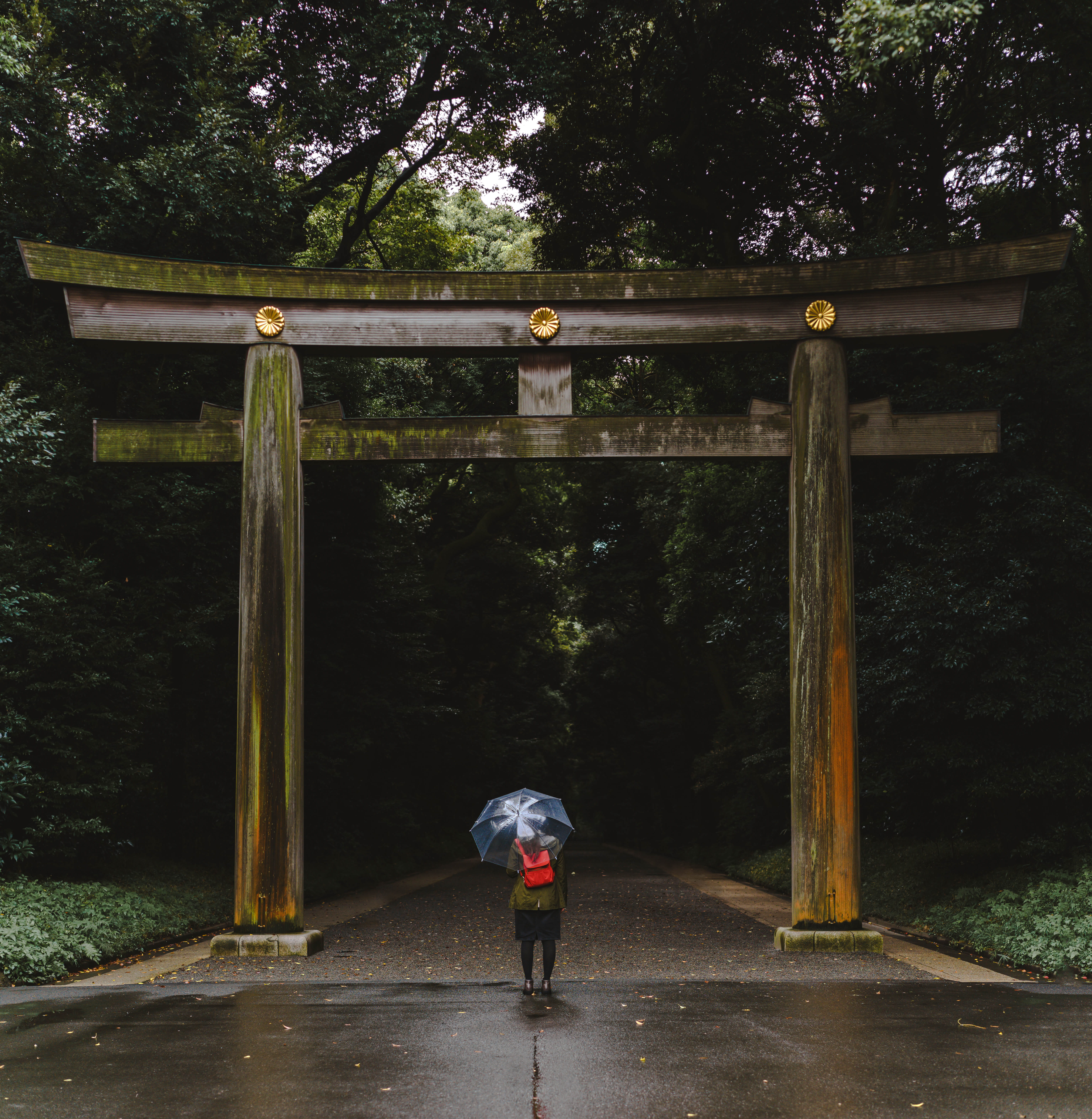 green, women, 5K, umbrella, outdoors, leisure activity, wooden, daytime, shrine, bridge, fall, backpack, one person, female, day, real people, standing, Phone HD Wallpaper
