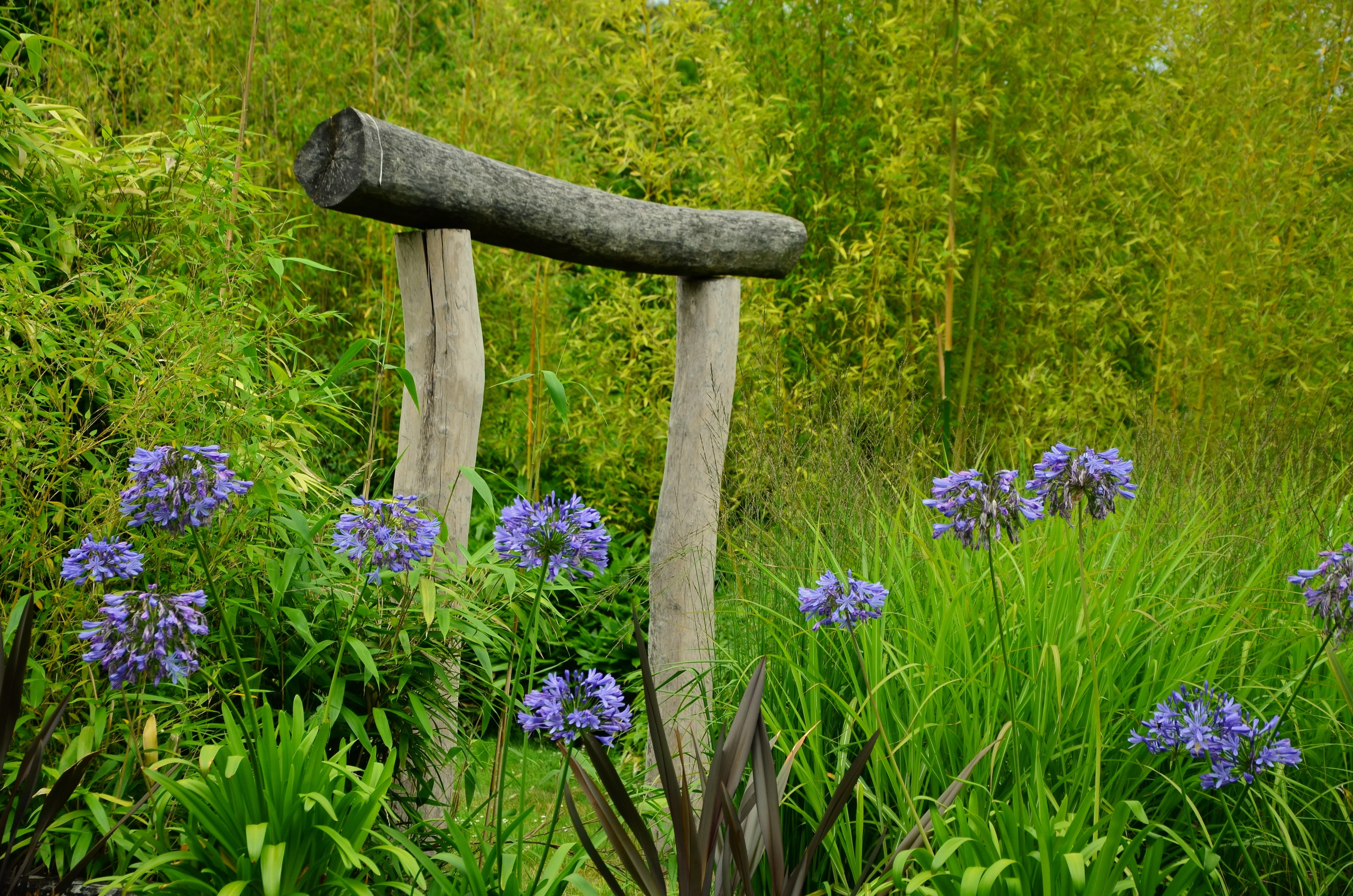 day, japanese gate, nature, green color, goal, flowering plant, brown, purple, bloom, grass, religion, land, park, torii, beauty in nature, wildflower, HD Wallpaper