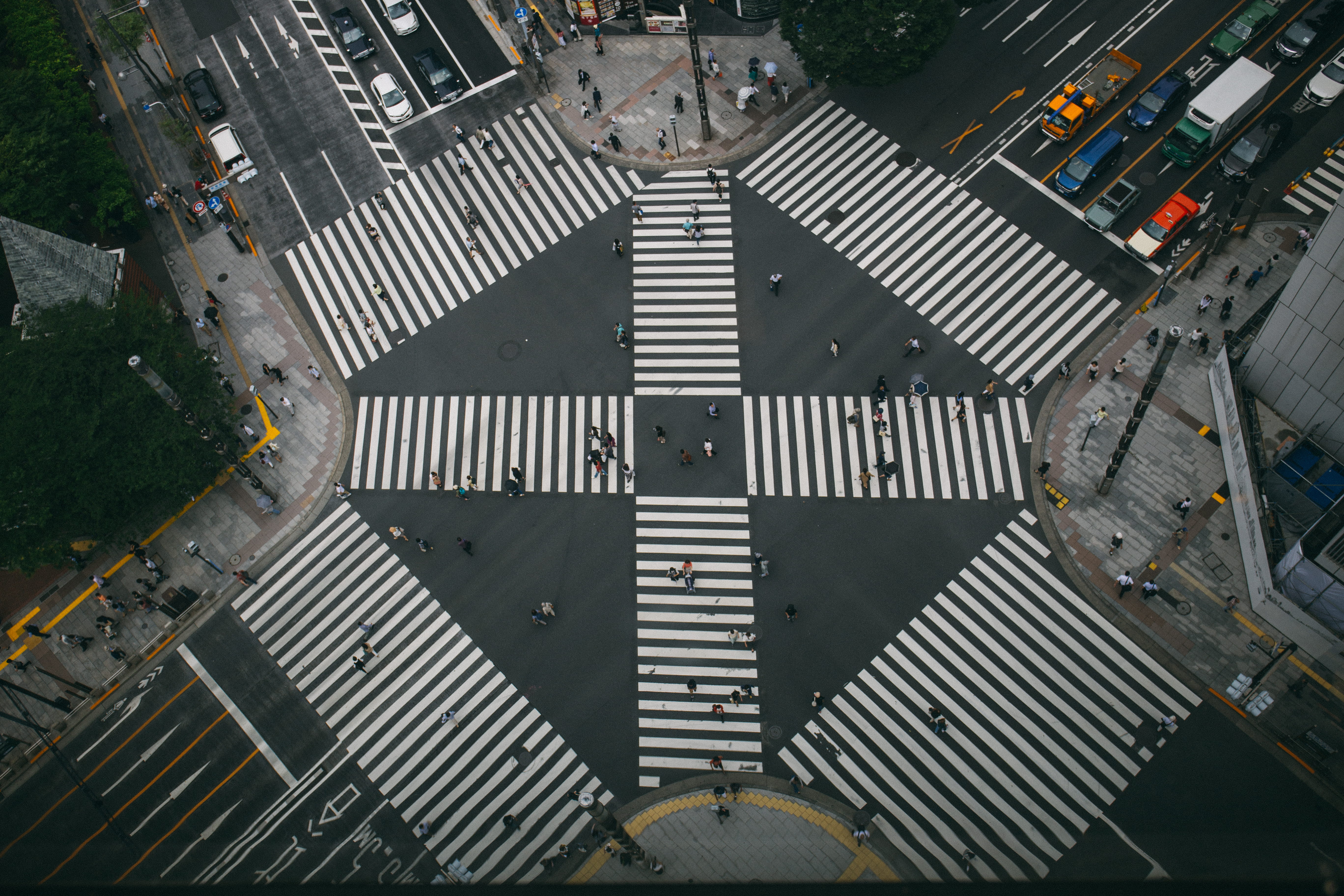 public, vehicle, drone view, people crossing, bird, city, outdoors, pedestrian crossing, outdoor, s, tokyo, built Structure, line, architecture, aerial View, HD Wallpaper