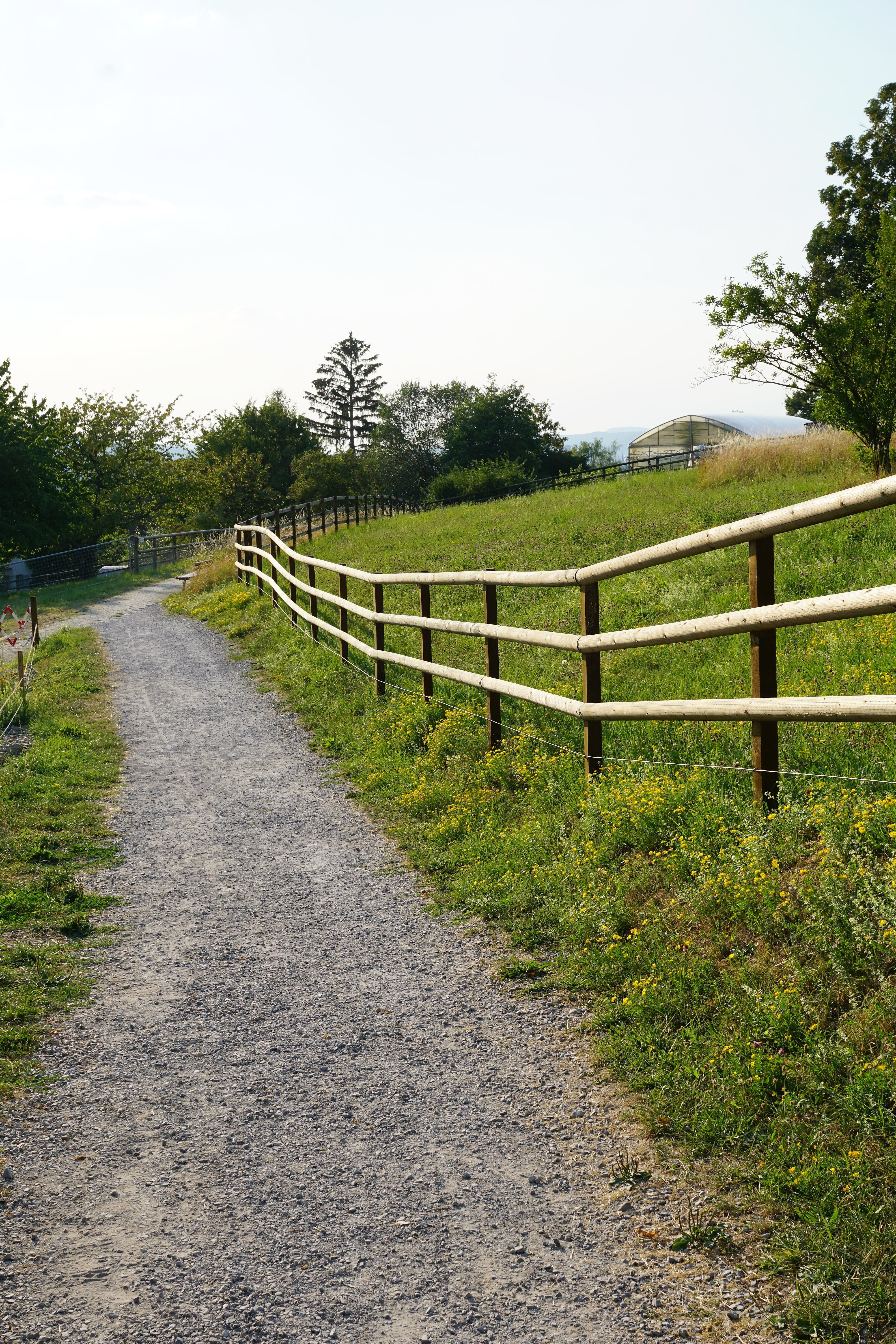 zurich, barrier, fence, day, epilepsy, sunny, autumn, sky, boundary, zollikon, mountains, lake zurich, path, away, horses, border, 5K, park, field, clear sky, Phone HD Wallpaper