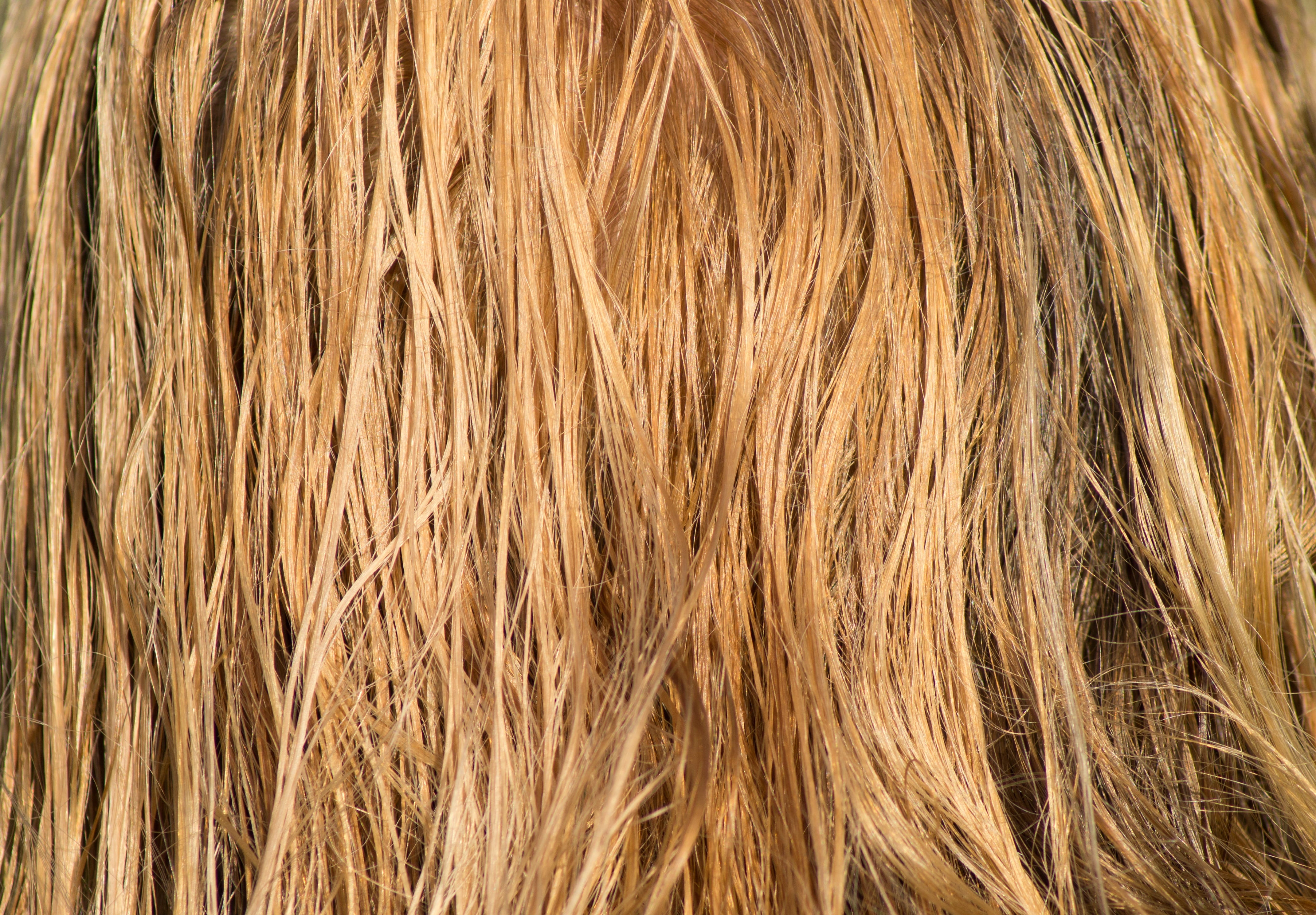 girl, nature, no people, combed, water, weave, long hair, pattern, wind, day, comb, mammal, blond, blond hair, color, animal hair, close-up, man, barber beauty shop, HD Wallpaper