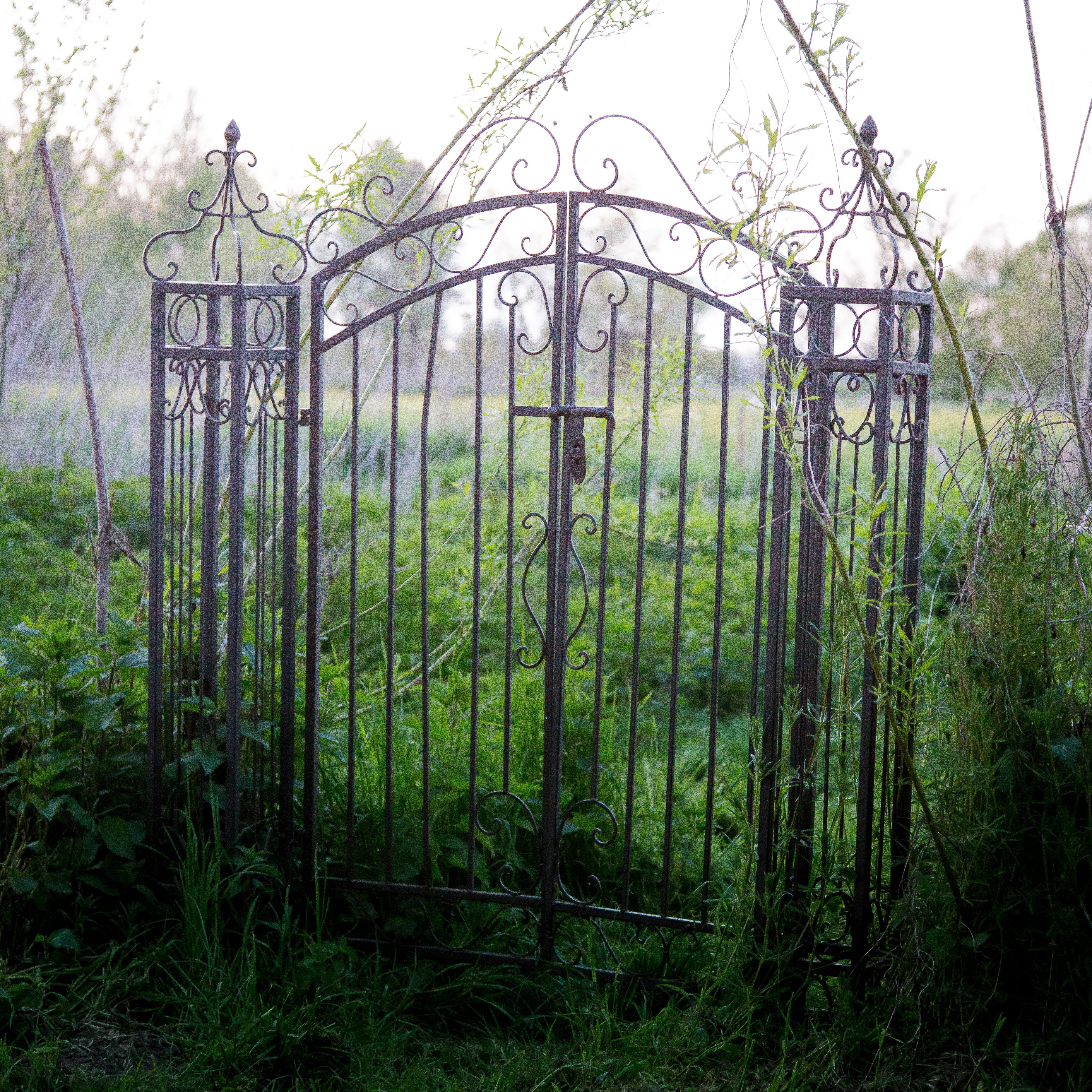 work, 2K, tree, old, safety, field, plant, land, grass, fence, gray, sun, wrought Iron, sky, protection, nature, growth, ornament, goal, beauty in nature, Phone HD Wallpaper