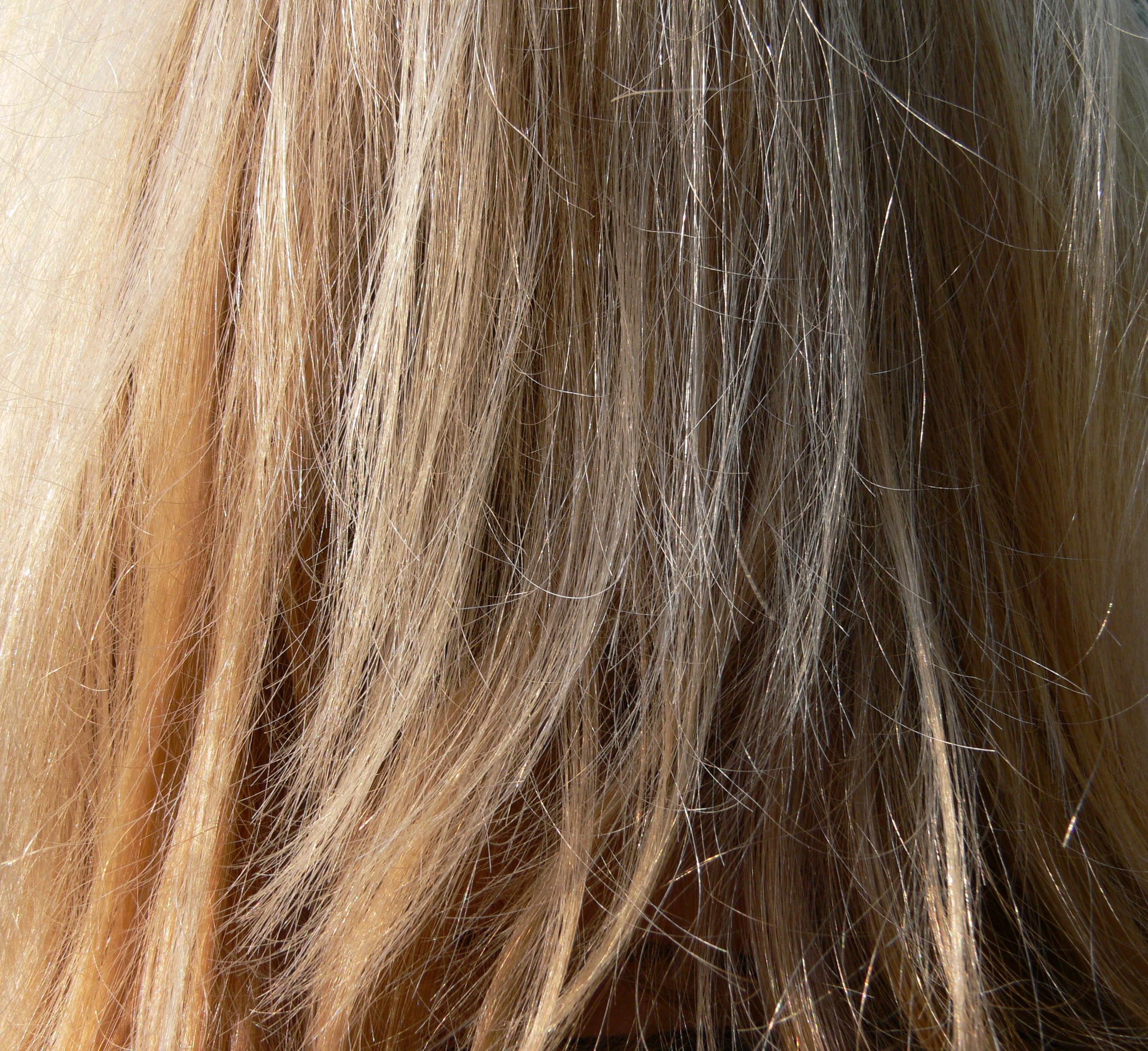 blond, blonde, portrait, brown hair, comb, lifestyles, hairstyle, hairy, obscured face, cut, human body part, color, woman, backgrounds, barber beauty shop, HD Wallpaper