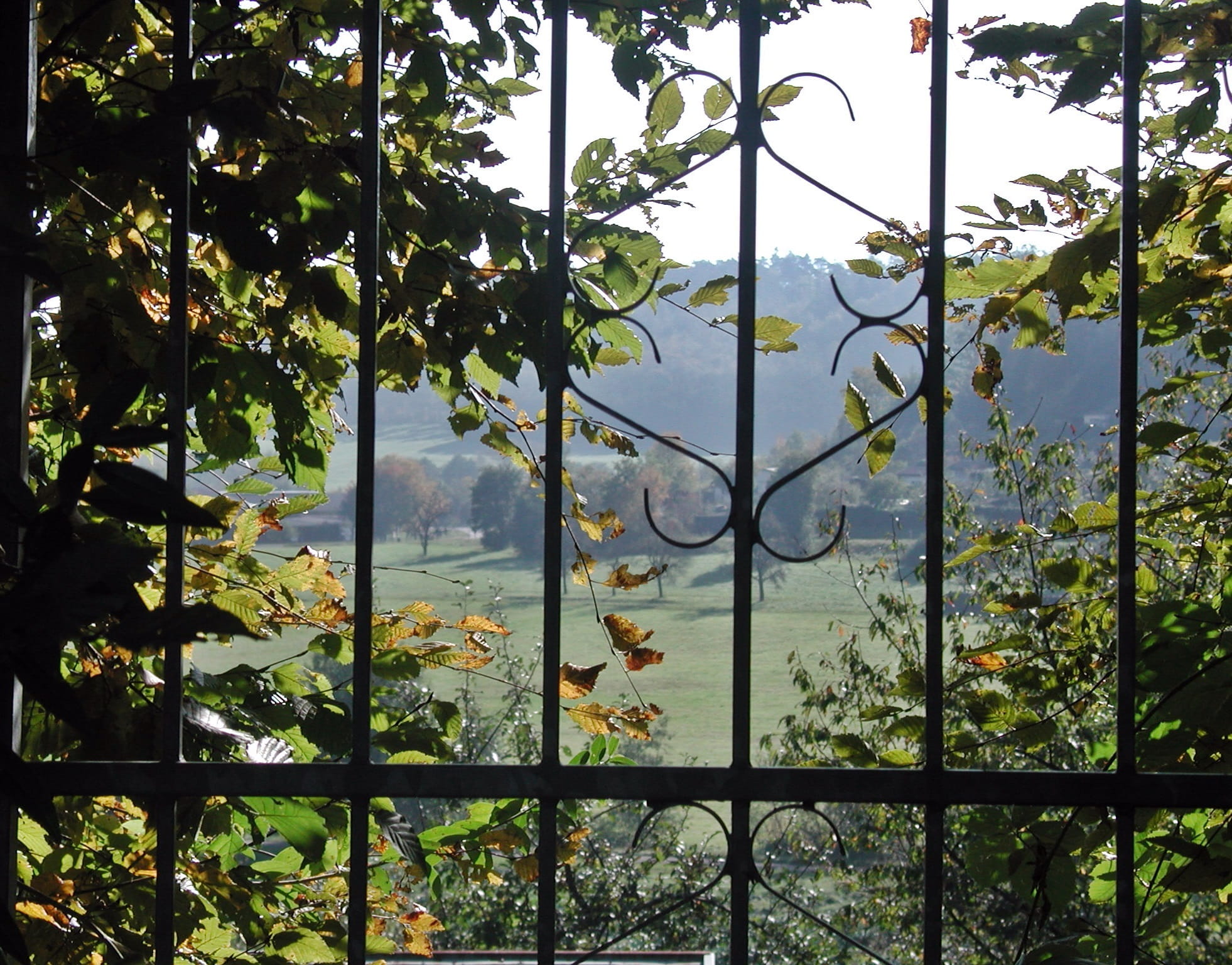 landscape, day, door, outdoors, glass - material, transparent, nature, 1080P, ornament, outlook, tree, romantic, fence, view, Goal, autumn, antique, grid, HD Wallpaper