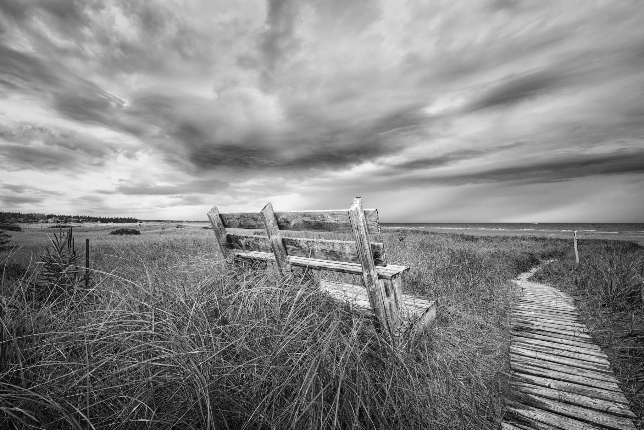 Cap-Pelé, point  grey, nature, grass, B and W, bench, cloud - Sky, wood - Material, explored, New Brunswick, landscape, path, 1080P, photo, Canada, Black and White, HD Wallpaper