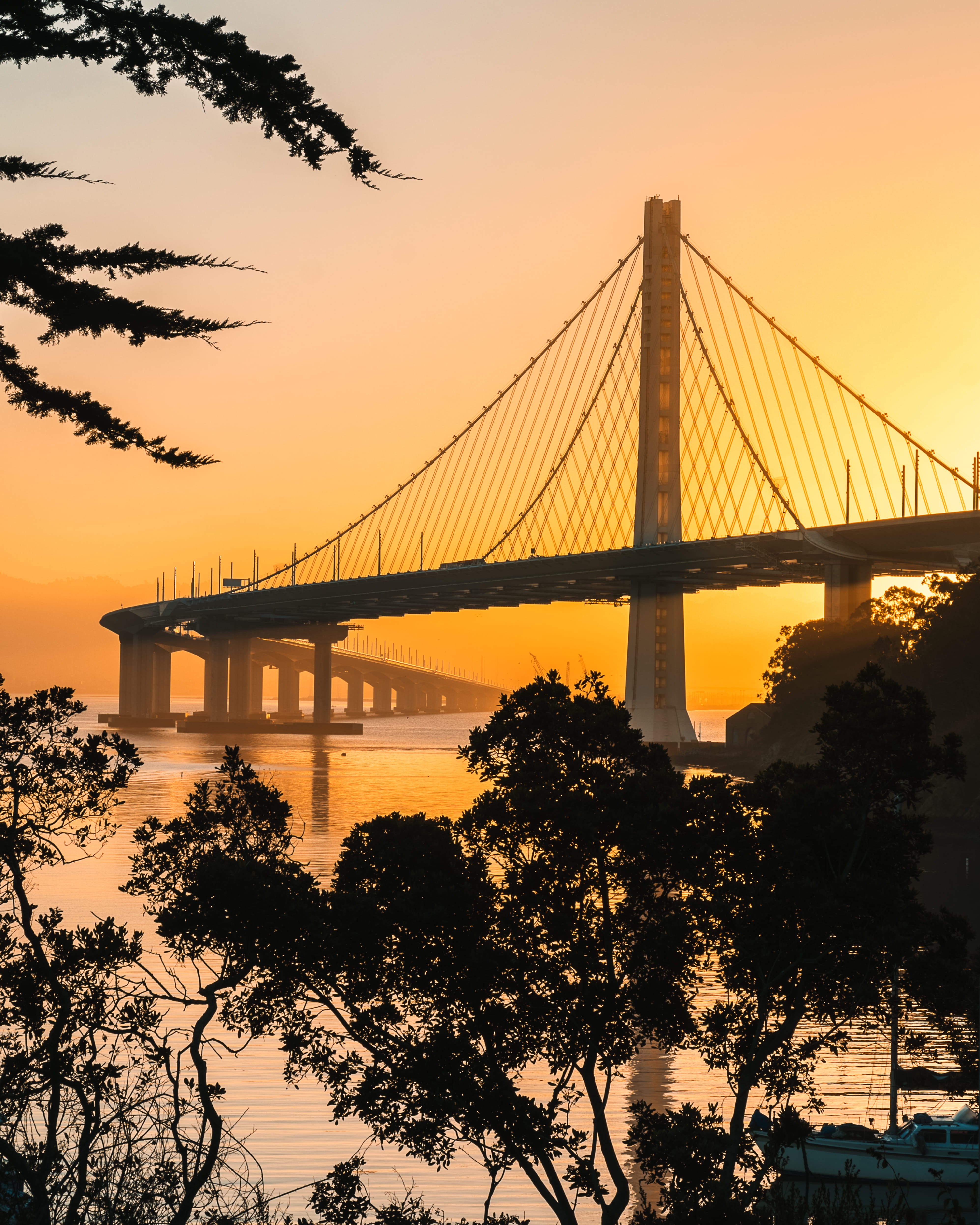 golden, architecture, sunset, san francisco – oakland bay bridge, built structure, transportation, dusk, tree, bridge - man made structure, suspension bridge, Phone HD Wallpaper
