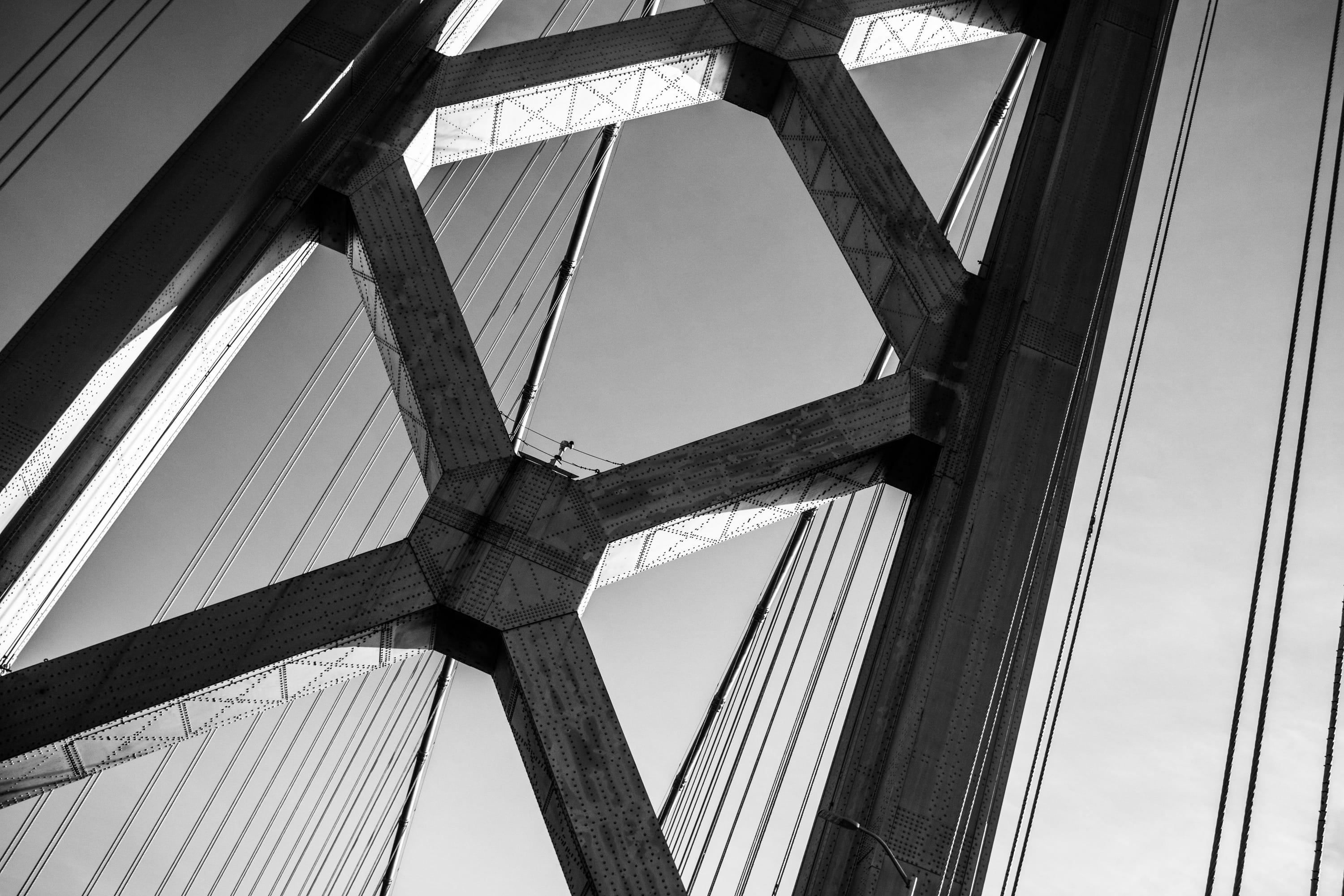 cable, united states, bay bridge, day, outdoors, metal, built structure, nature, suspension bridge, architecture, 2K, transportation, black and whit, directly below, HD Wallpaper