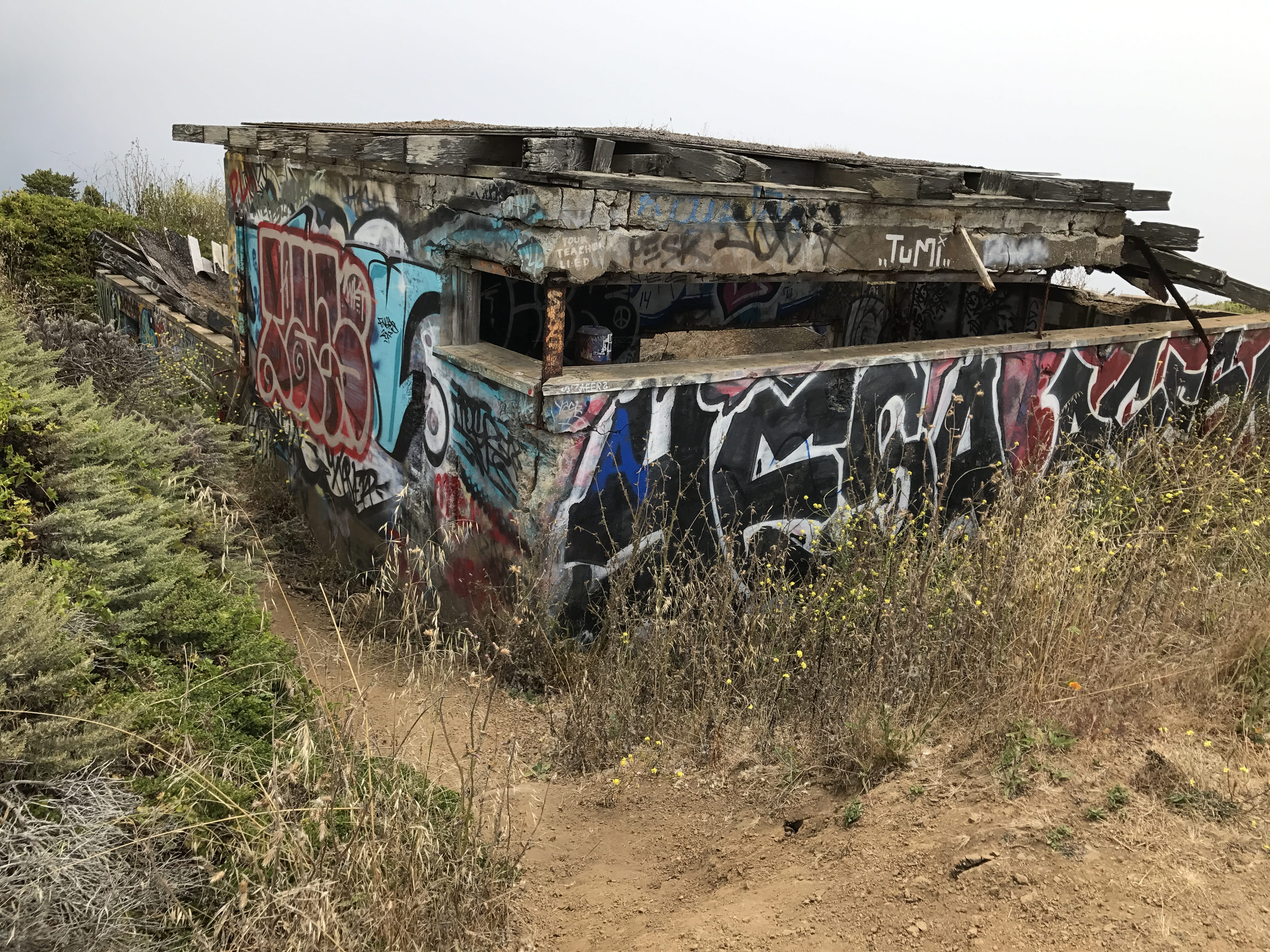rail transportation, united states, san francisco, marin headlands, ruins, wall, 4K, distressed building, grass, deterioration, transportation, mode of transportation, HD Wallpaper