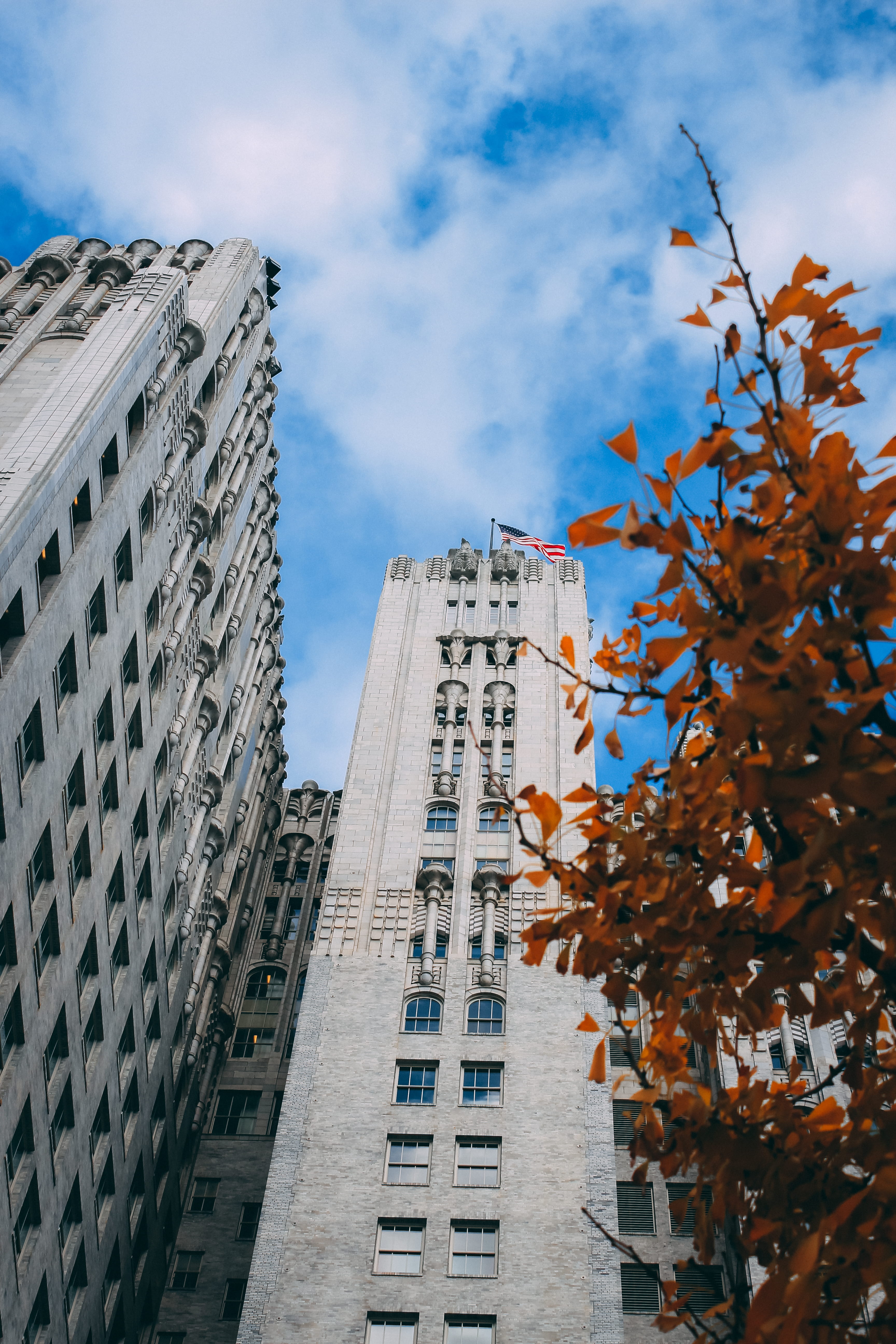skyscraper, color, low angle view, city, fall, united states, 5K, autumn, plant part, contrast, museum, office building exterior, tower, sky, moma, day, Phone HD Wallpaper
