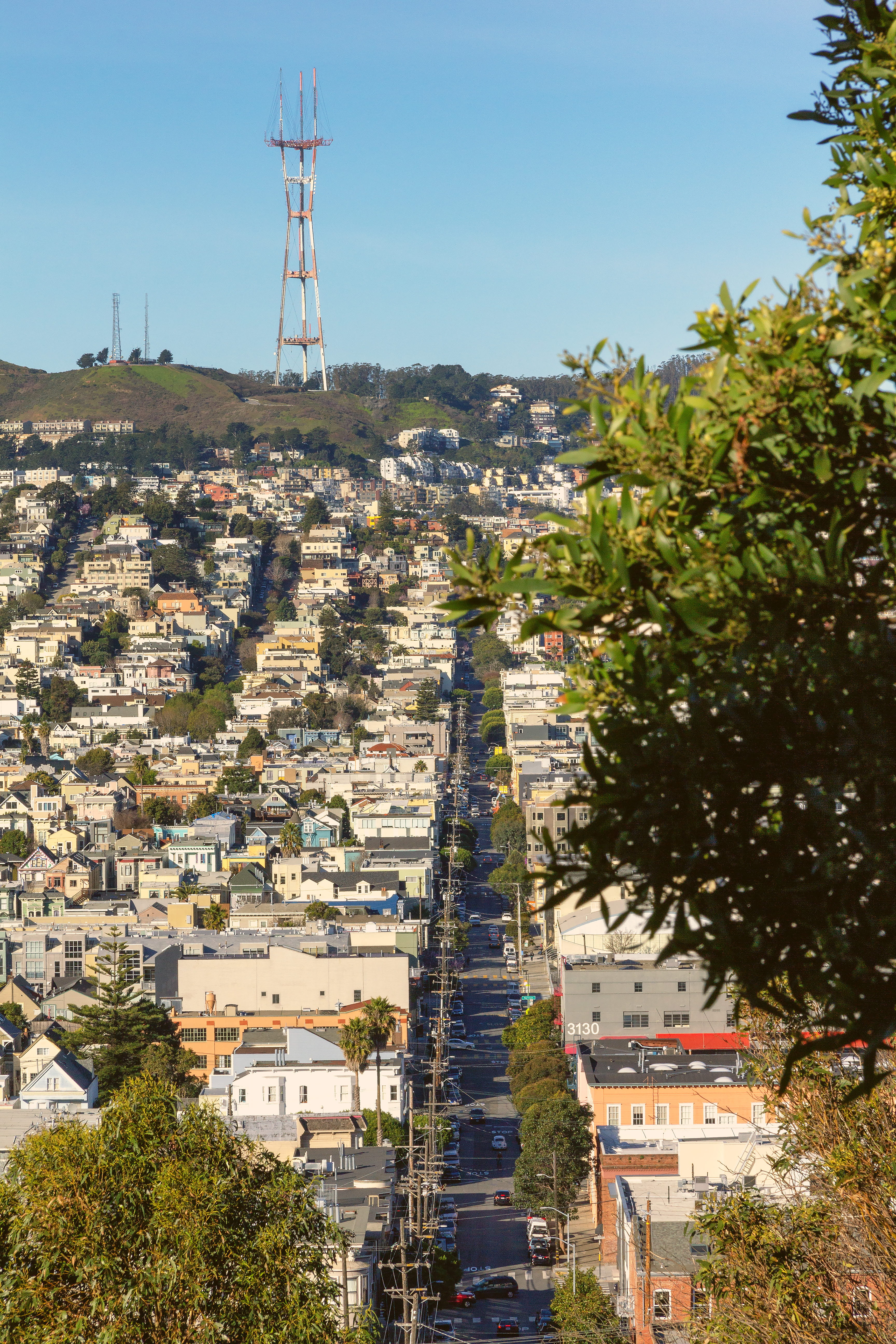 tree, asphalt, plant, urban, town, outdoors, sky, tower, clear sky, building, townscape, connection, 5K, residential district, suburb, san francisco, landscape, Phone HD Wallpaper