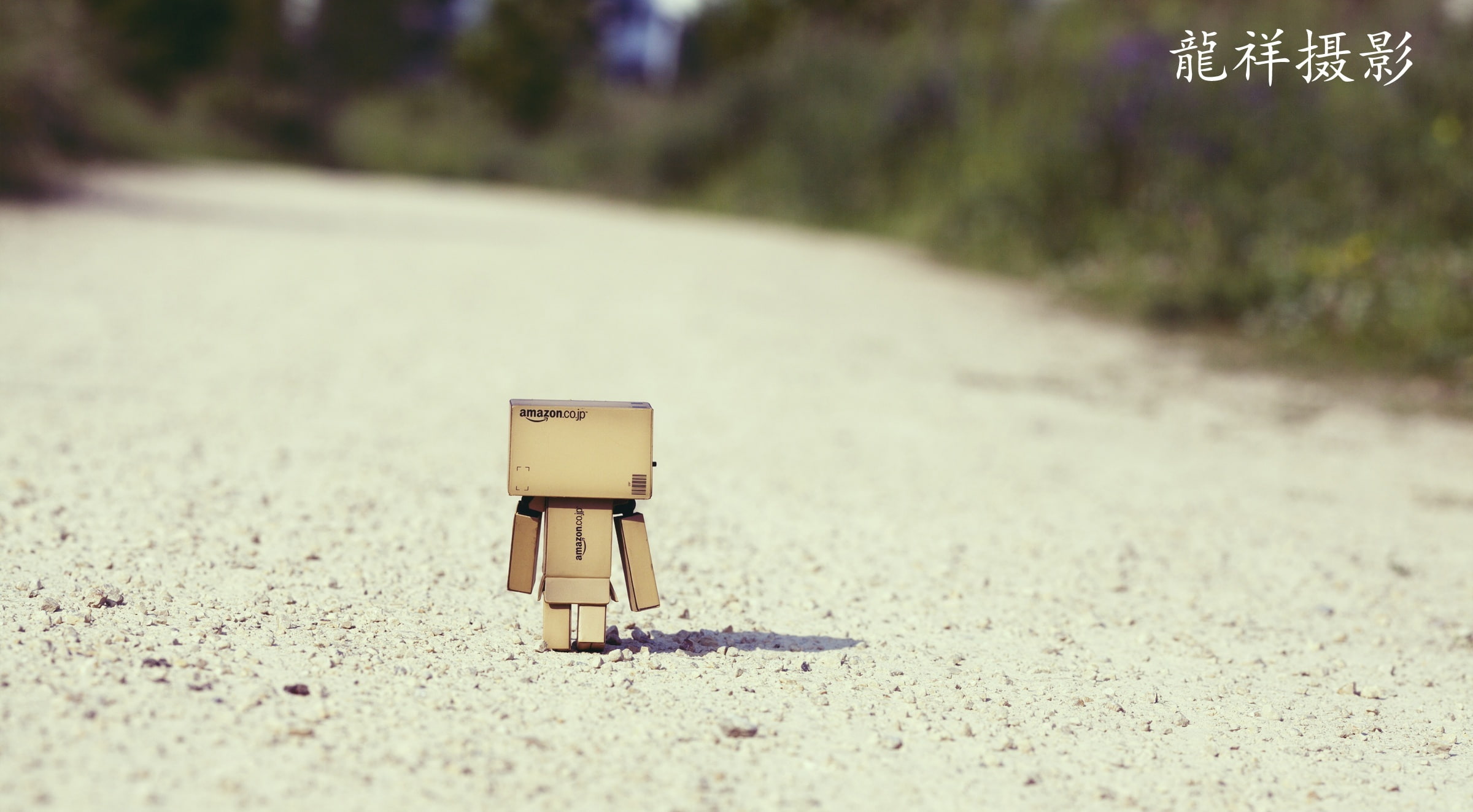 close-up, nature, day, toy, sunlight, selective focus, transportation, Creative, plant, go, outdoors, absence, sand, street, home, focus on foreground, HD Wallpaper