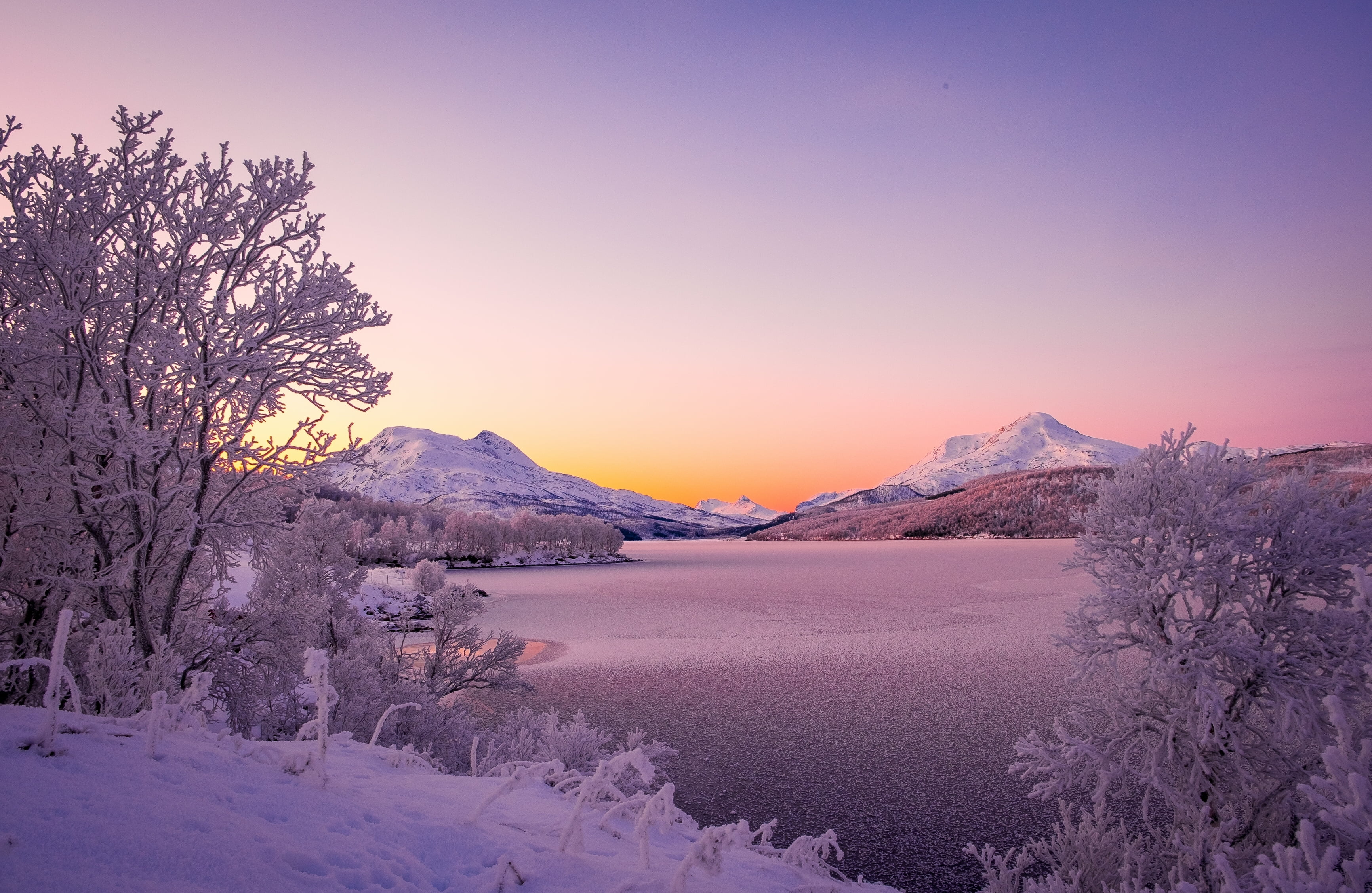 cold temperature, night, mountain Peak, beauty In Nature, Storvann lake, tree, ice, scenics, plant, Stor Vann lake, snow, forest, landscape, lake, outdoors, HD Wallpaper