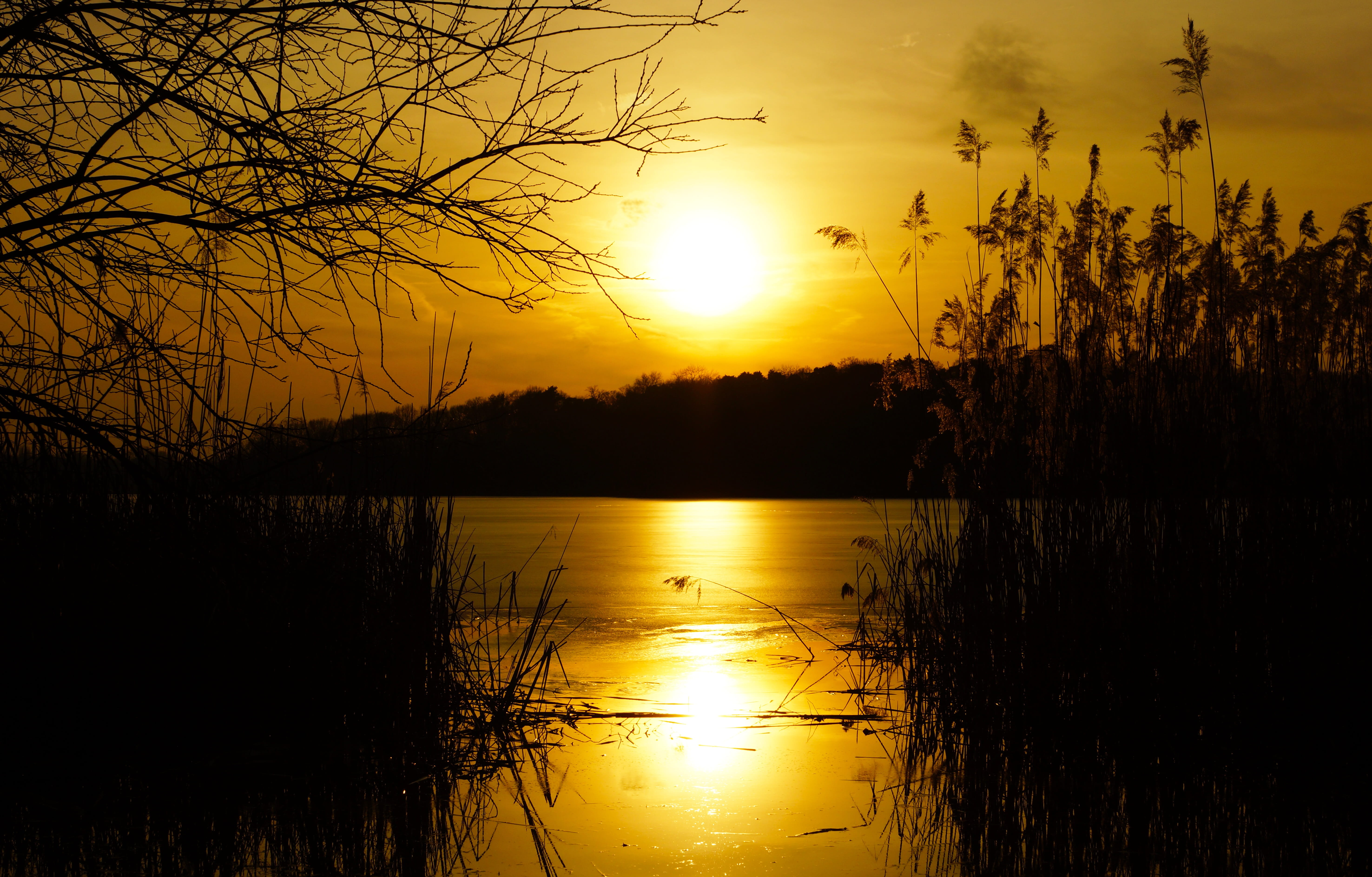 no people, sunset, reflection lake, reflection, scenics - nature, orange color, water, king of the forest, tranquility, evening landscape, 5K, sacrow lake, HD Wallpaper