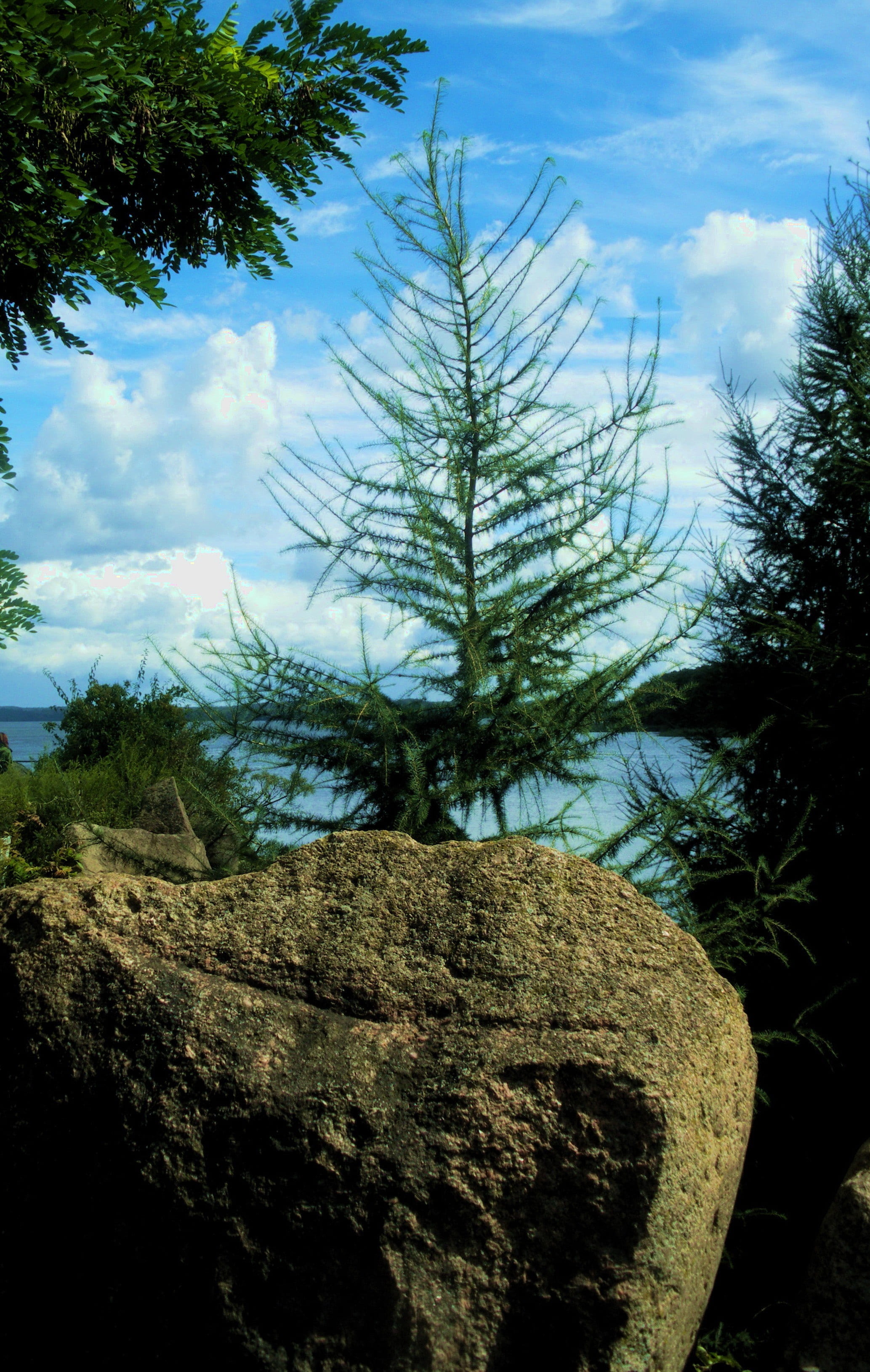 places of interest, plant, 2K, tranquility, tree, schweriner see, non-urban scene, day, nature, no people, rock, sky, solid, scenics - nature, landscape, Phone HD Wallpaper