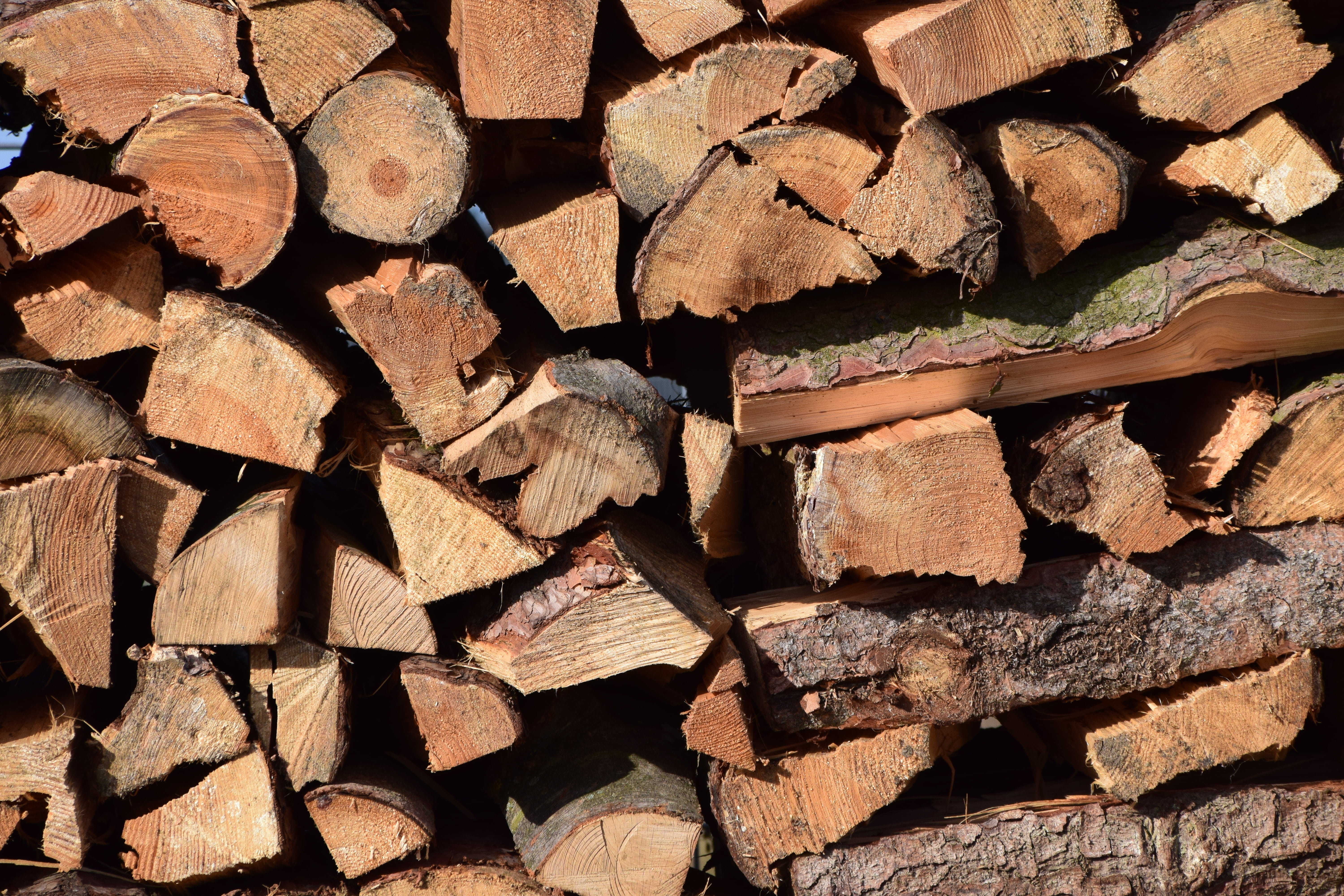 forest, background, wood - material, timber, stack, backgrounds, woodpile, lumber industry, holzstapel, full frame, firewood, heap, nature, log, repetition, HD Wallpaper