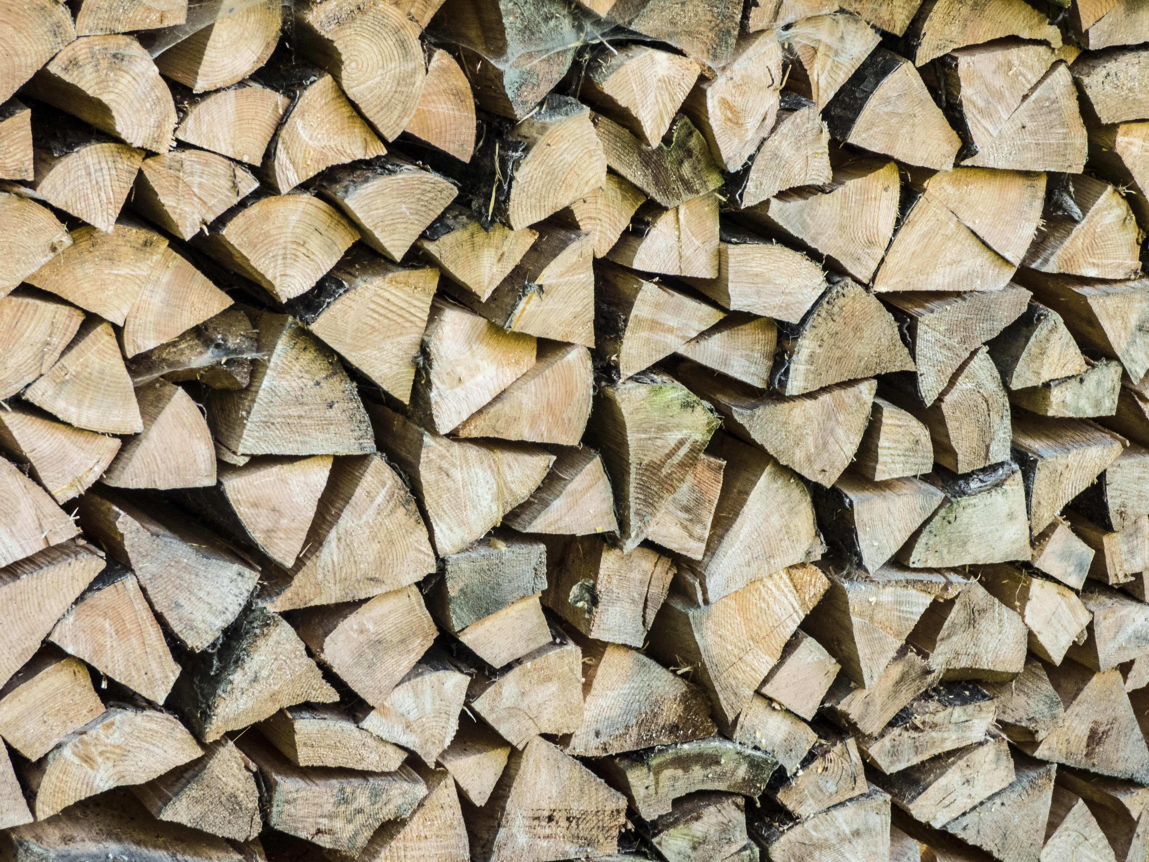 wood - material, garden, firewood, stacked up, nature, strains, forest, storage, sawed off, timber, holzstapel, abundance, beech firewood, no people, wood, HD Wallpaper
