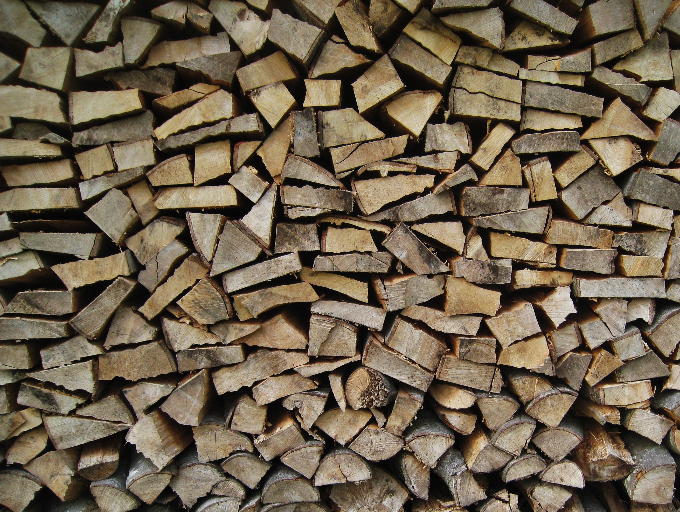 full frame, wood finn, growing stock, firewood, wood - material, log, close, nature, tree, brown, timber industry, backgrounds, storage, large group of objects, HD Wallpaper