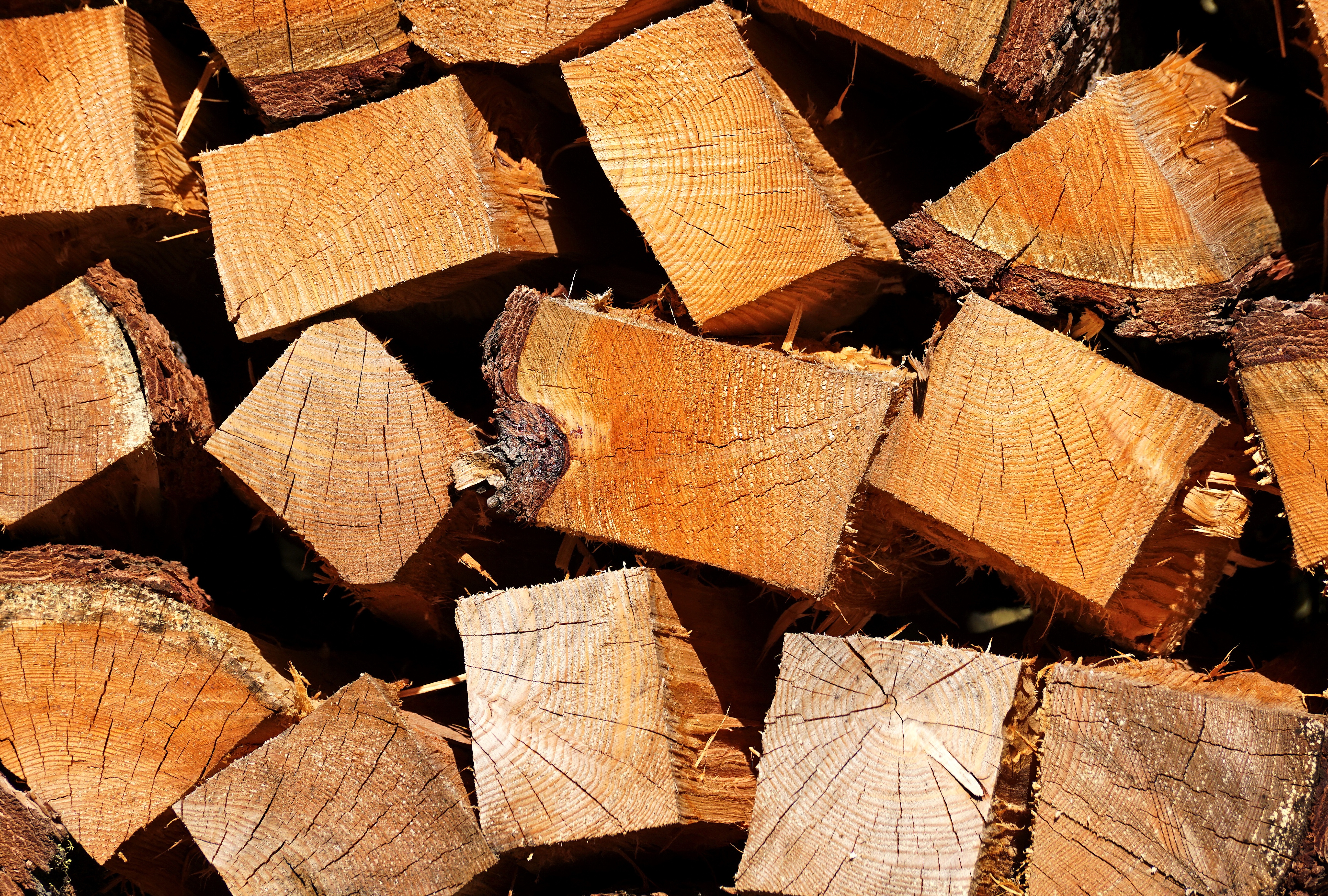 firewood, wood - material, heat, stack, no people, wood, large group of objects, dry, warm, forest, energy, stack of wood, day, log, nature, burn, 5K, HD Wallpaper