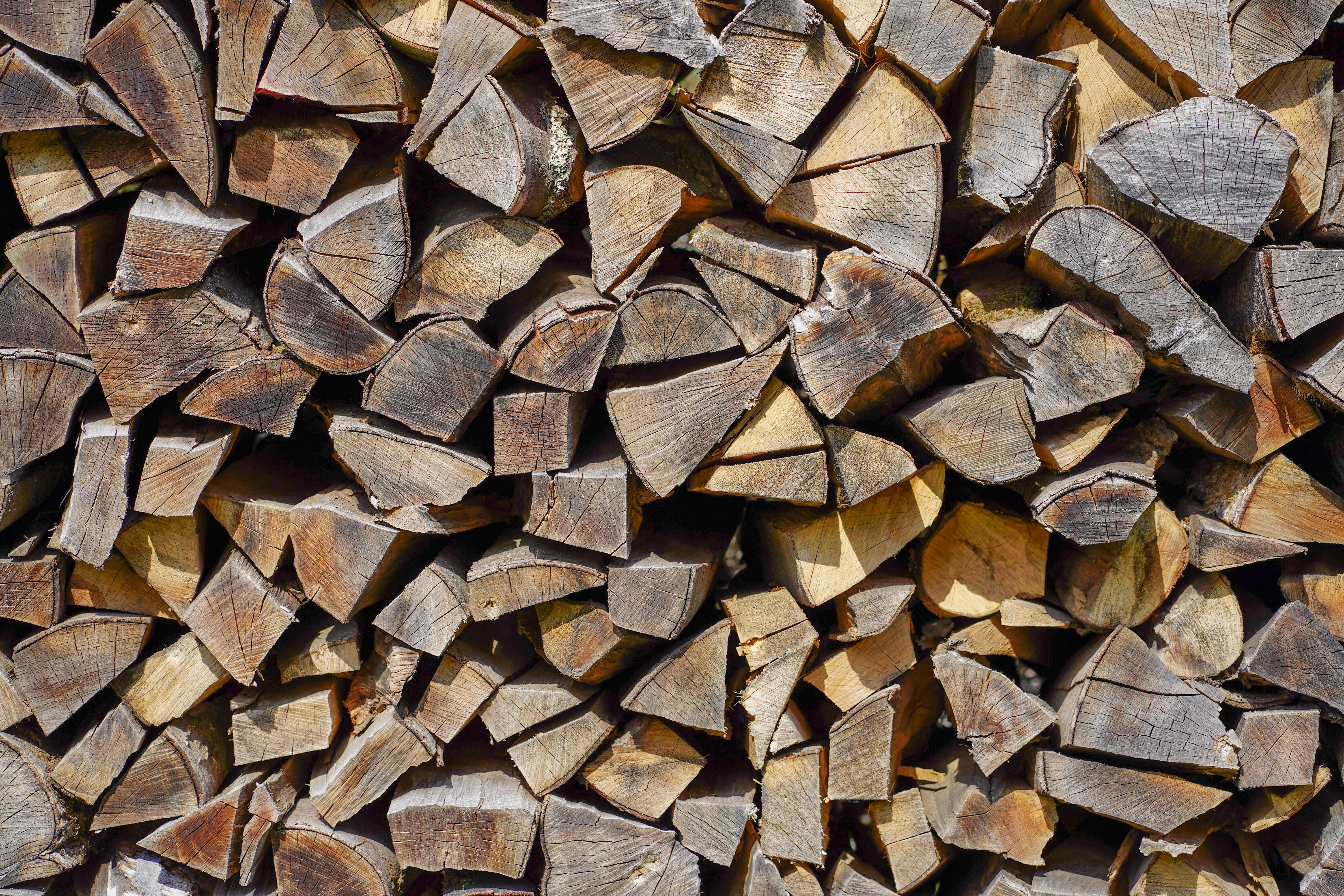 stacked, tree, background, tree trunks, structure, drawing, decorative, heap, outdoors, 5K, wood - material, brown, pattern, backgrounds, nature, stacked up, HD Wallpaper