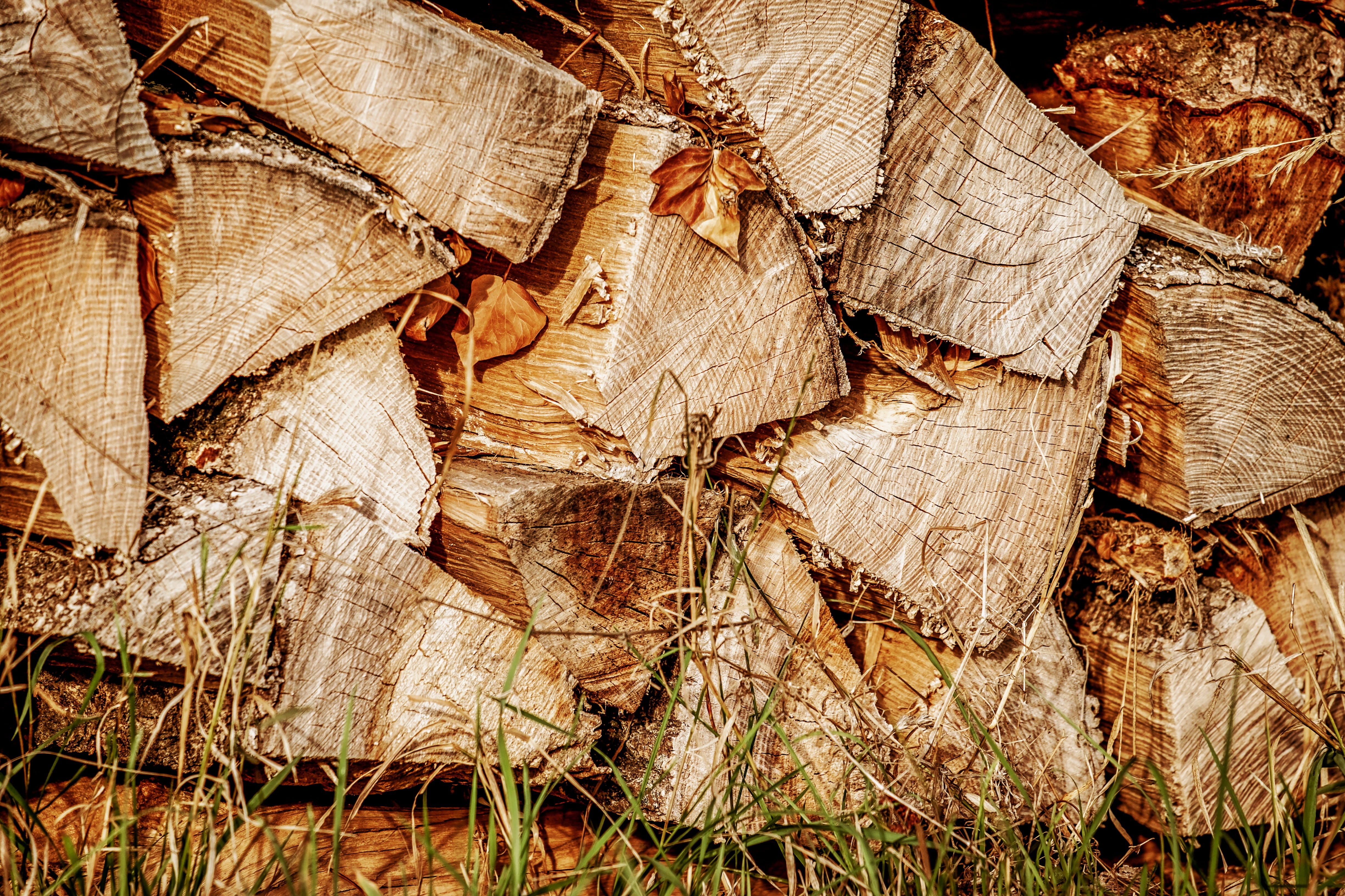 wood - material, firewood, energy, logs, textured, growing stock, storage, outdoors, abundance, 4K, woodpile, stacked up, lumber industry, day, deforestation, HD Wallpaper