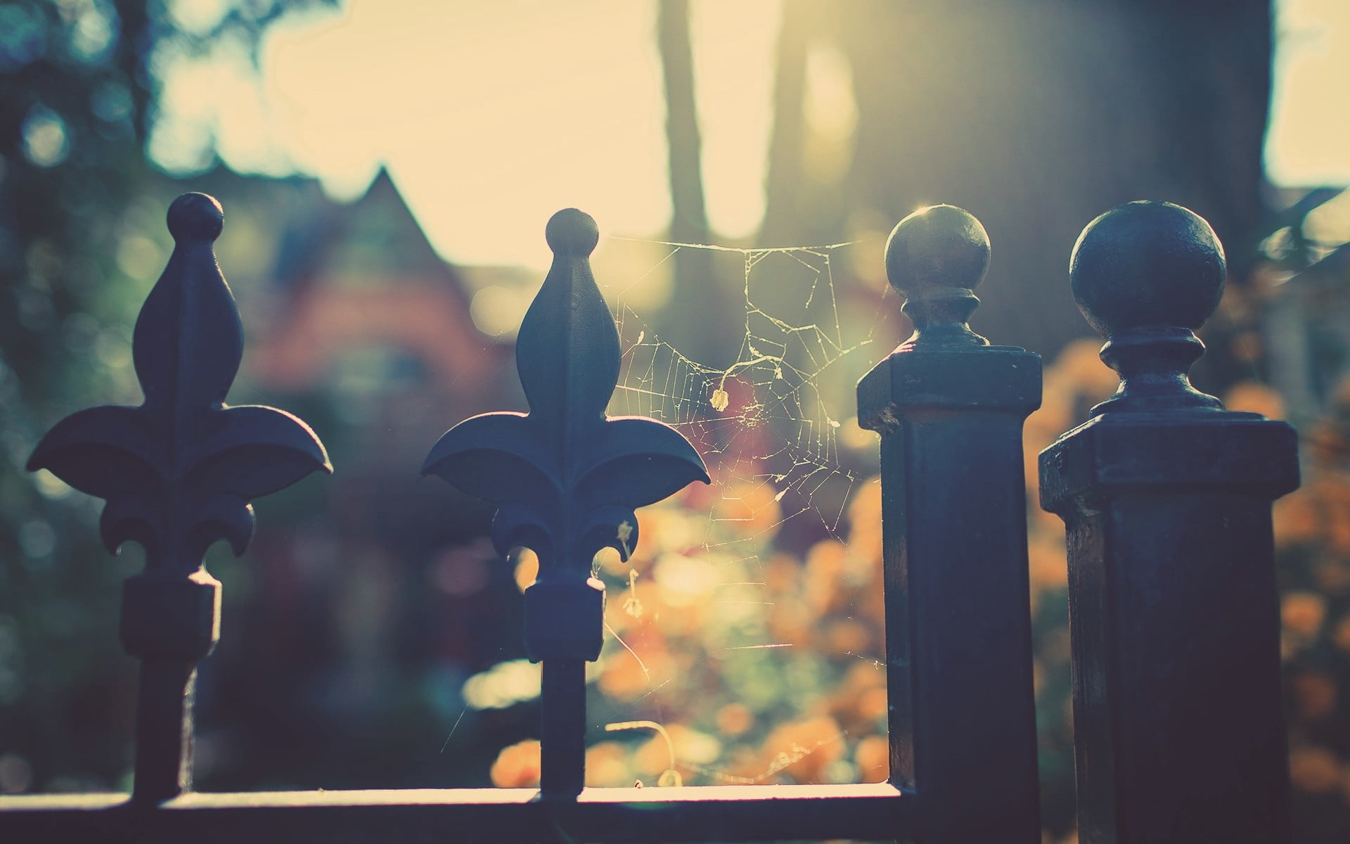 representation, art and craft, pattern, chess, creativity, black, game, selective focus, 1080P, no people, light, style, animal representation, focus on foreground, HD Wallpaper