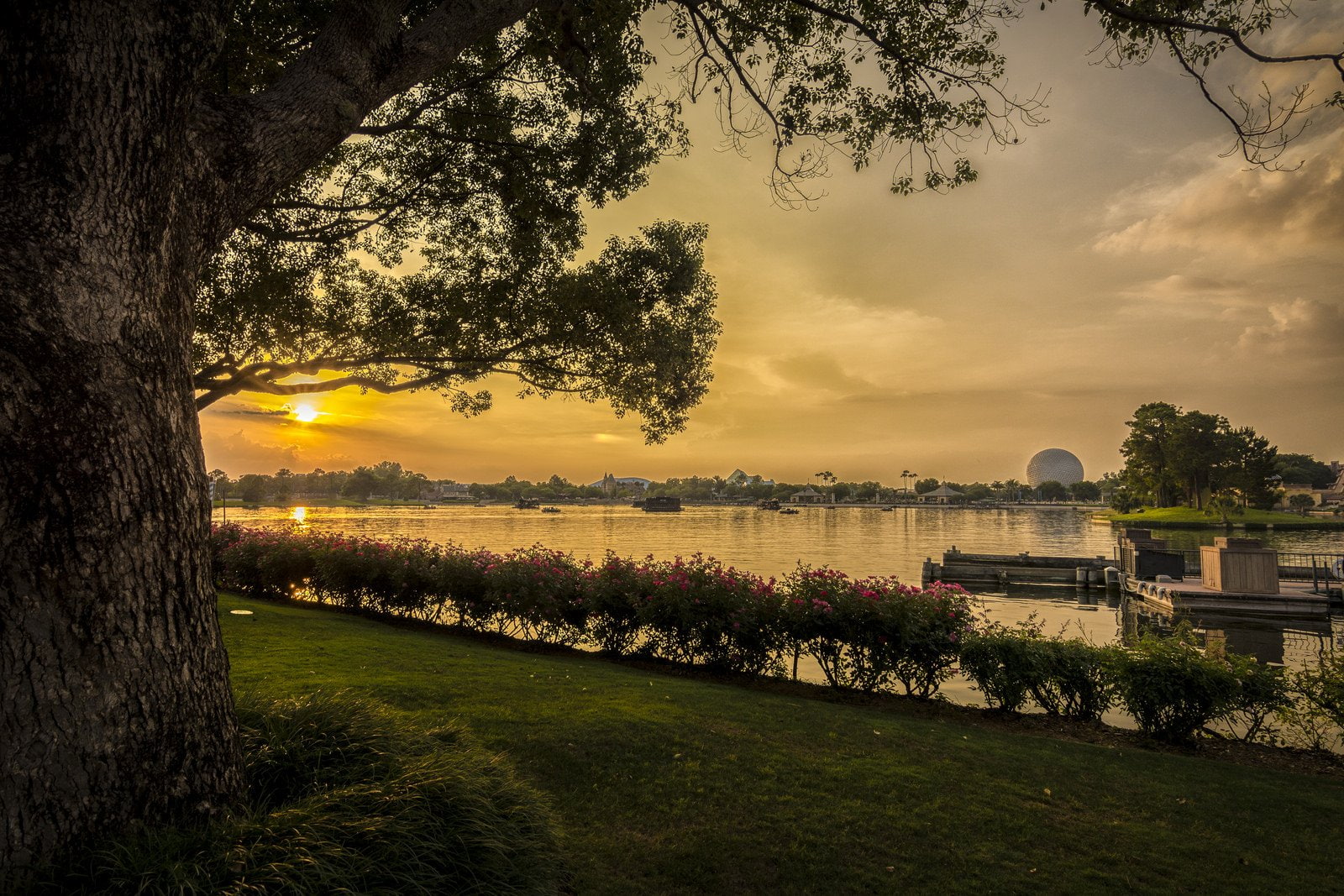 city walk, resort, disney, orlando, hotel, studio, stores, parc, buildings, storehouses, walt disney, universal, 720P, childrens, offices, world, mickey, HD Wallpaper
