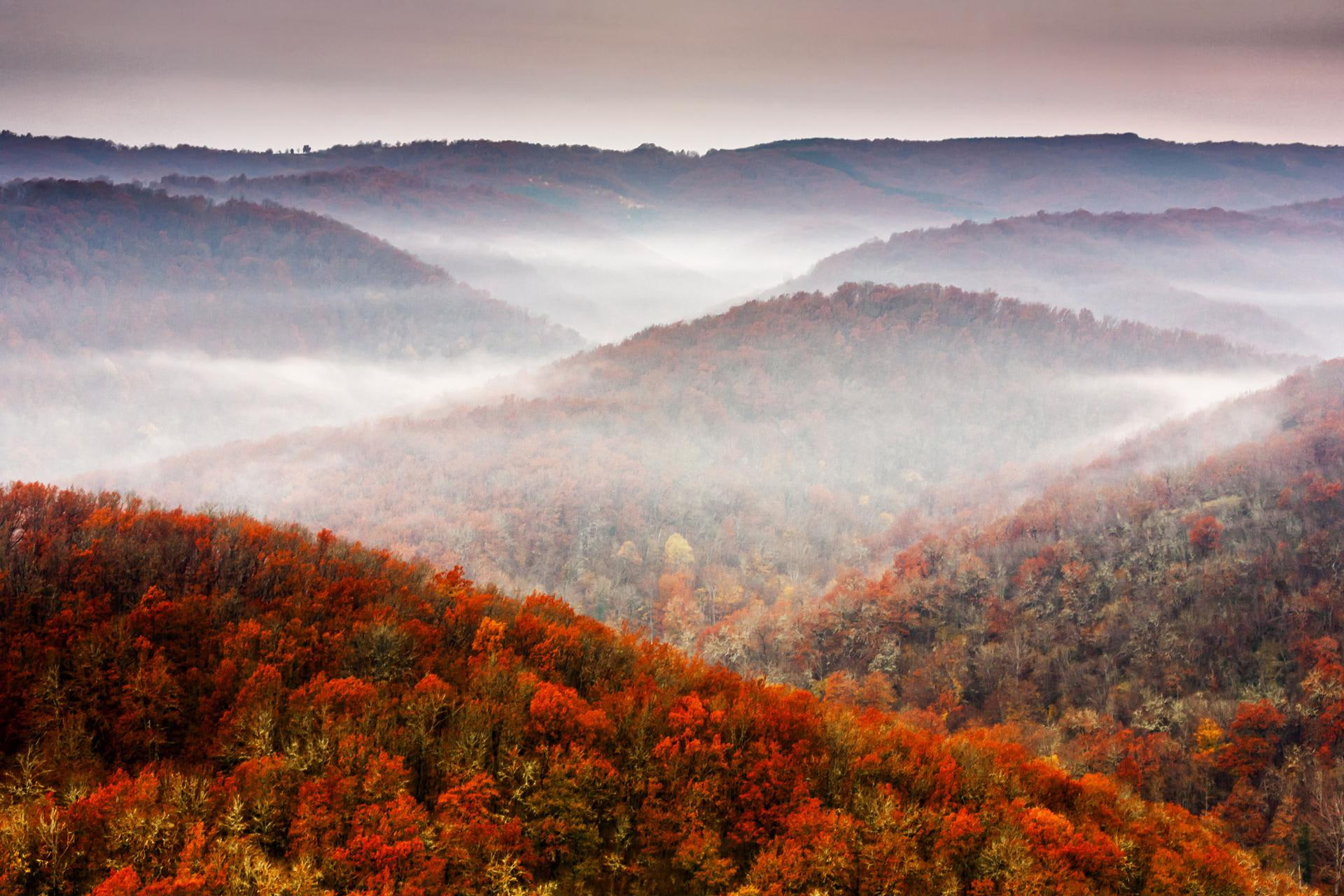 sky, p, fall, tree, foliage, red, flower, 1080p, 1080P, landscapes, forest, petaled, mountains, nature, autumn, HD Wallpaper