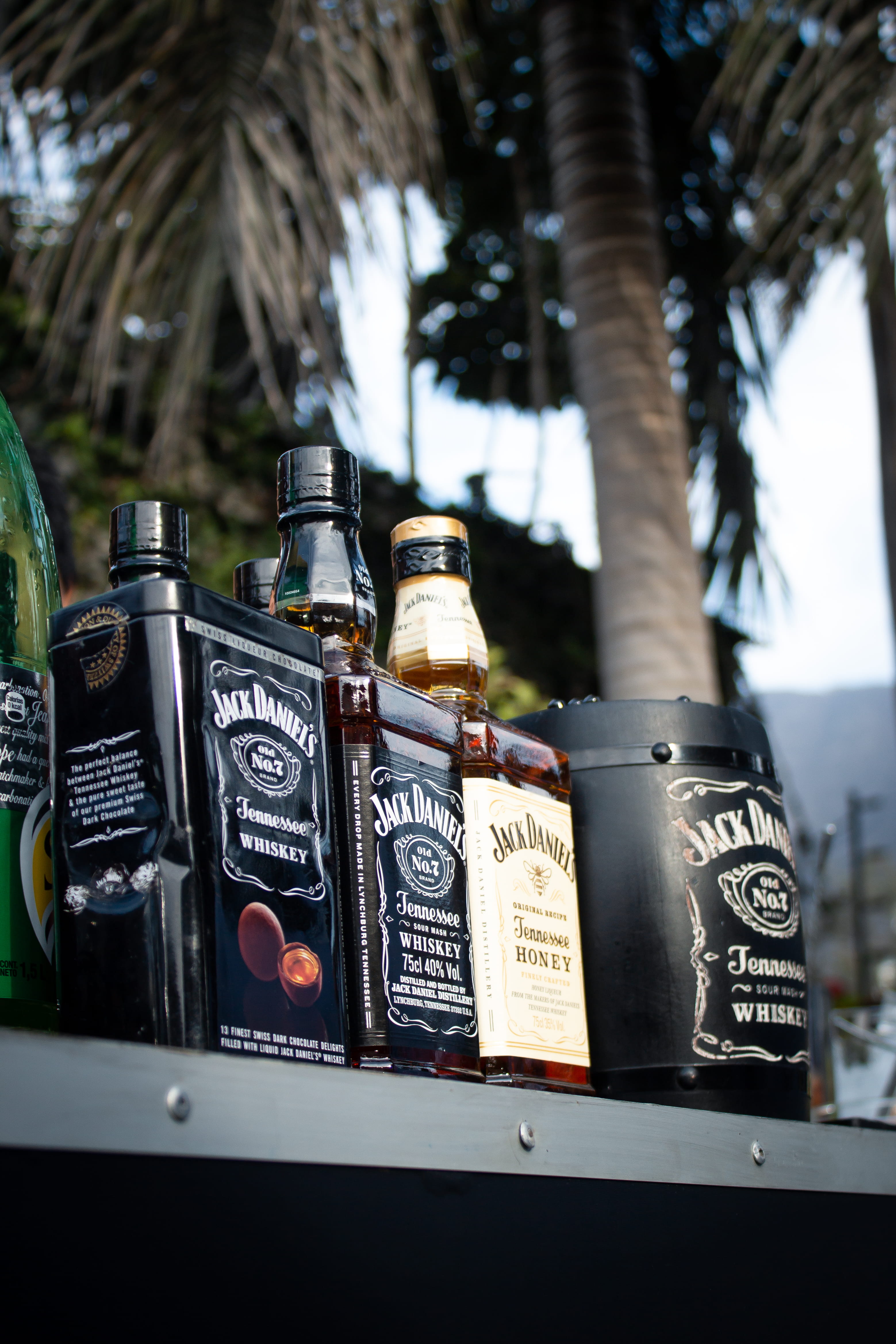 arecaceae, day, beer glass, choice, plant, lager, selective focus, focus on foreground, variation, stout, alcohol, still life, palm tree, communication, Phone HD Wallpaper