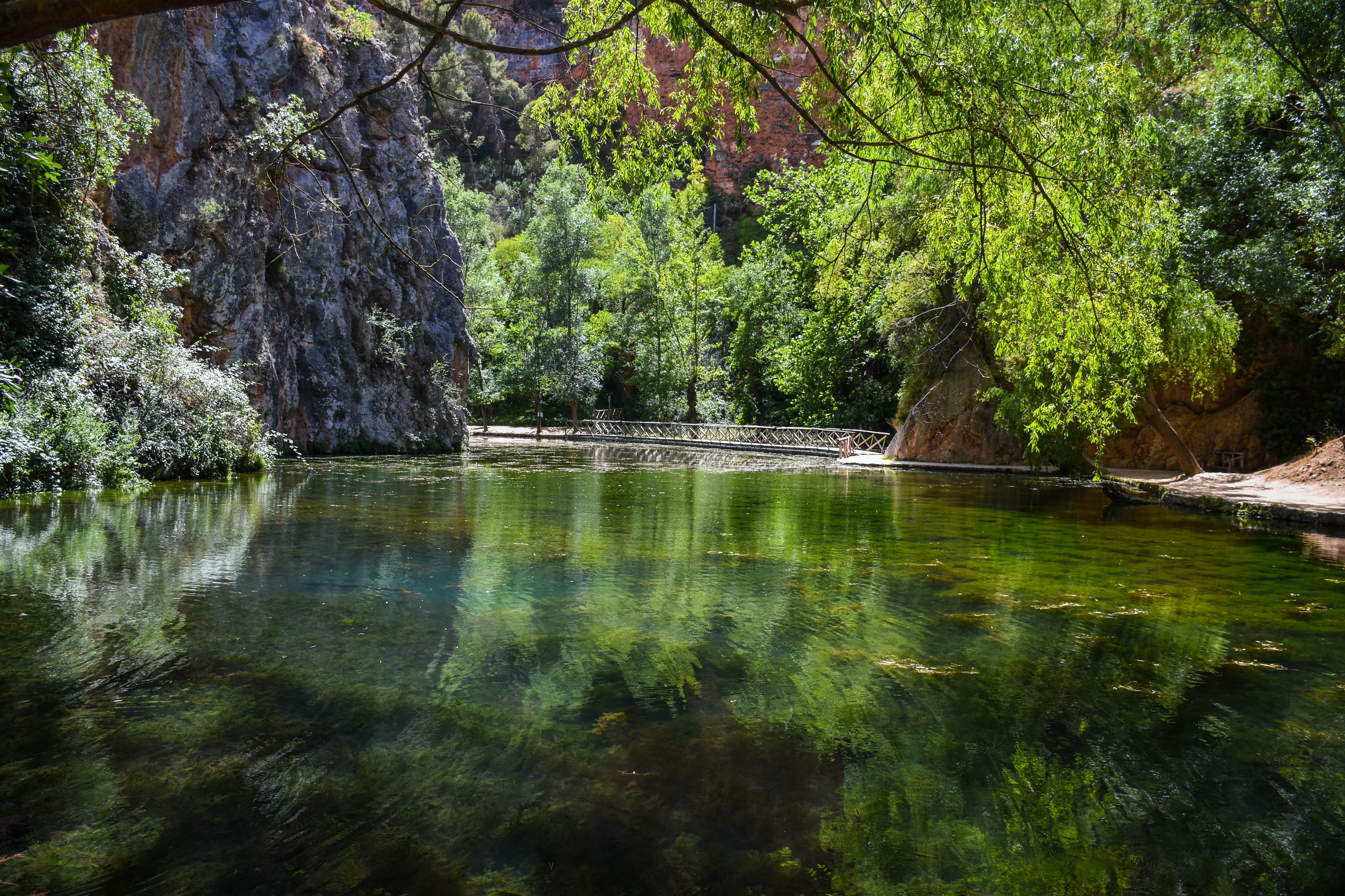 forest, beauty in nature, water, non-urban scene, land, no people, mirror, growth, plant, landscape, lake, reflection, stone monastery, tranquil scene, HD Wallpaper