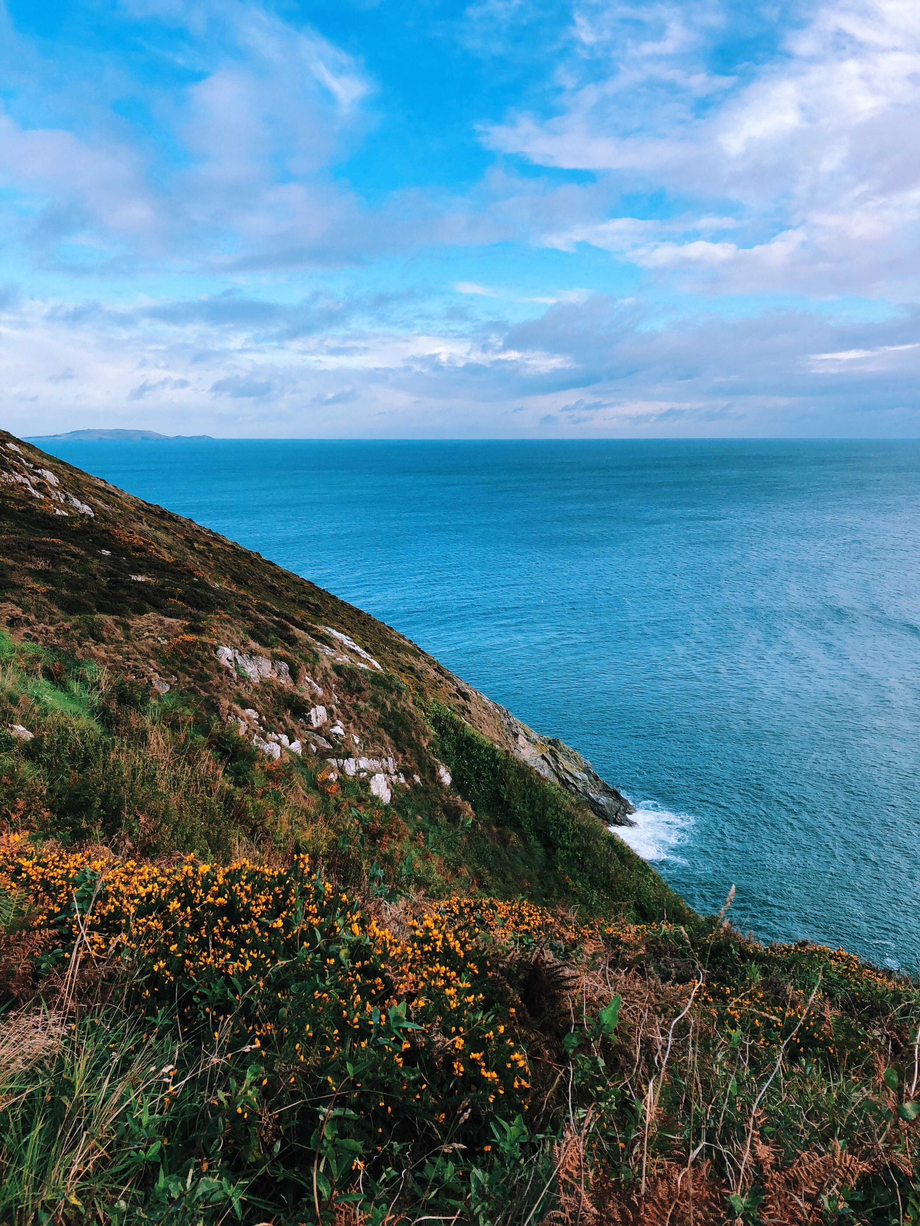 4K, water, horizon over water, cliff, foliage, beach, slope, land, ocean, plant, no people, nature, outdoors, coast, promontory, day, adventure, growth, Phone HD Wallpaper