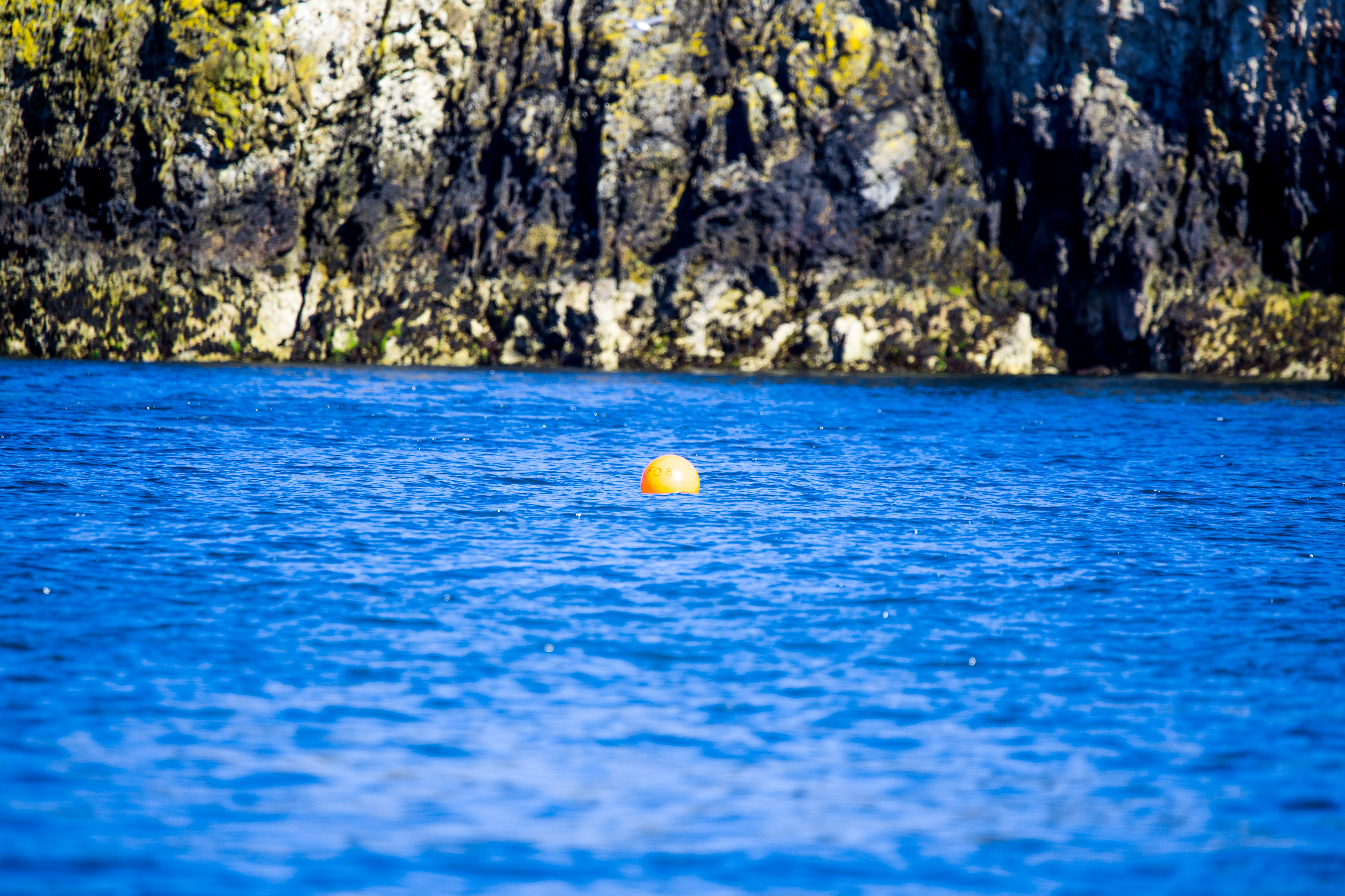 sea, land, howth, sunlight, outdoors, floating on water, rocks, nature, yellow, activity, surface level, no people, single object, 5K, water, plant, ball, HD Wallpaper
