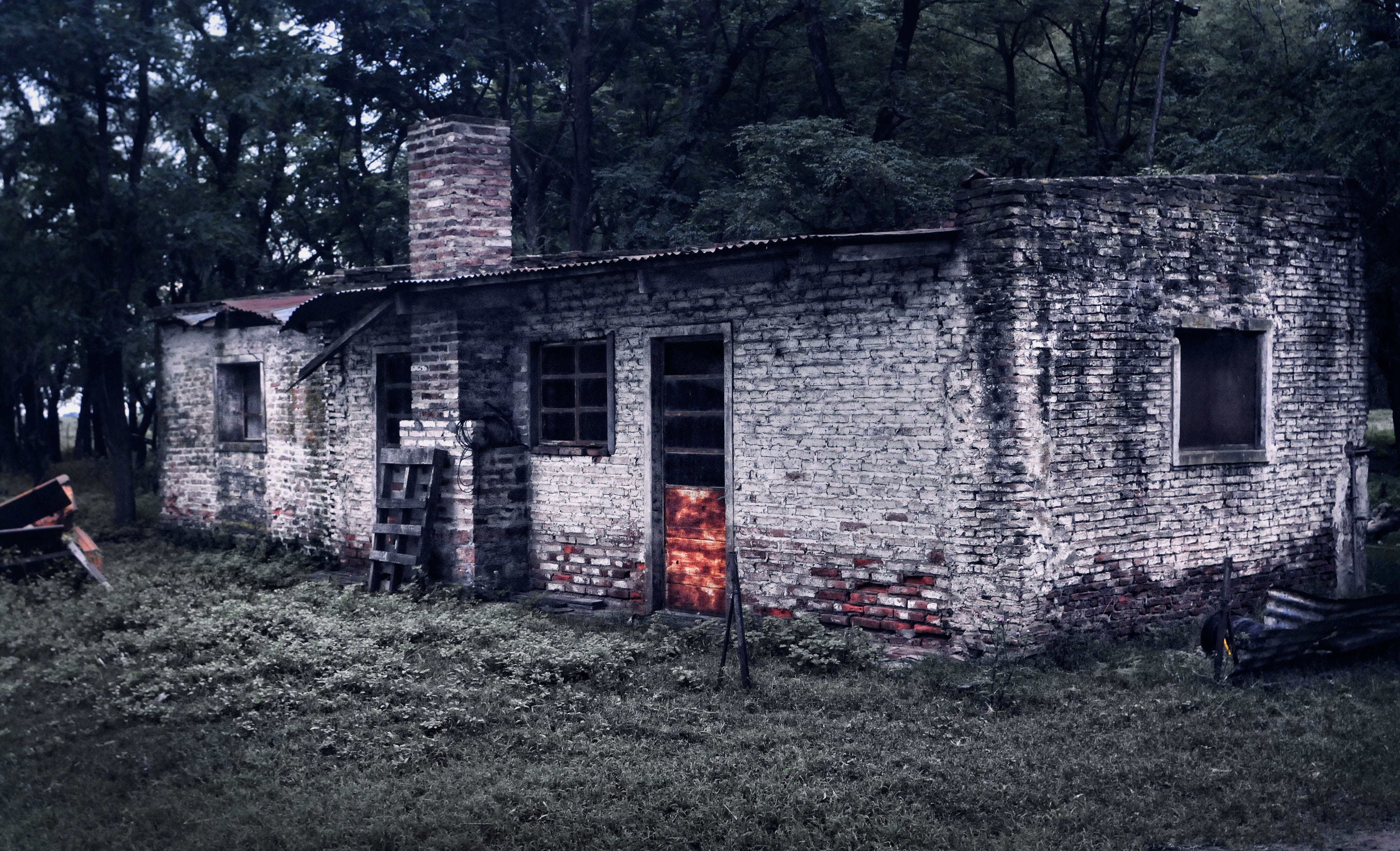 brick, plant, entrance, land, broken, building, house, ruin, ruined, day, outdoors, nature, old, no people, built structure, architecture, building exterior, HD Wallpaper