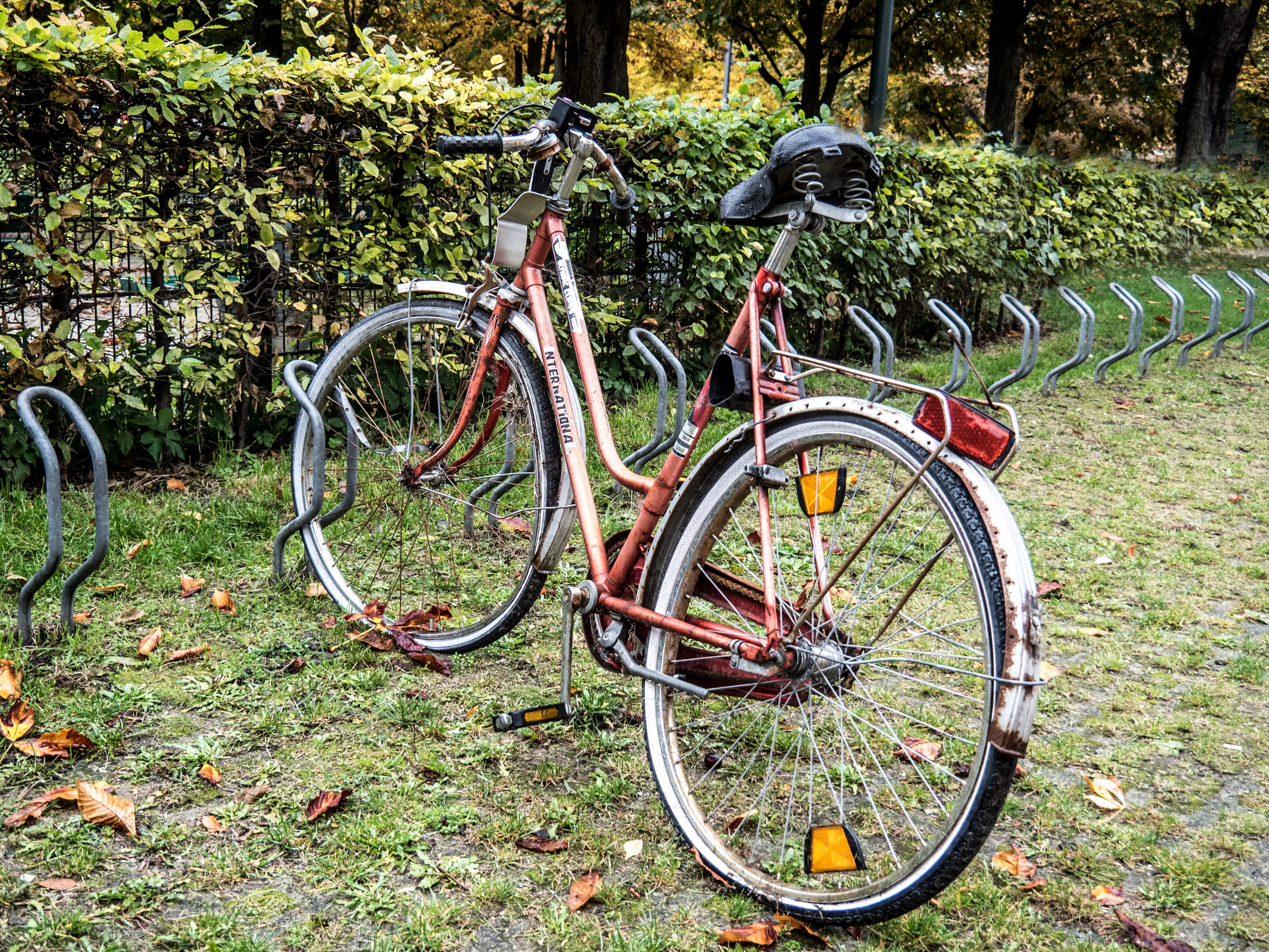 tree trunk, day, outdoors, urban, abandoned, impaired, wheel, broken, grass, growth, rusty, cycling, park, handlebar, old, parking, nature, bicycle, munich, HD Wallpaper