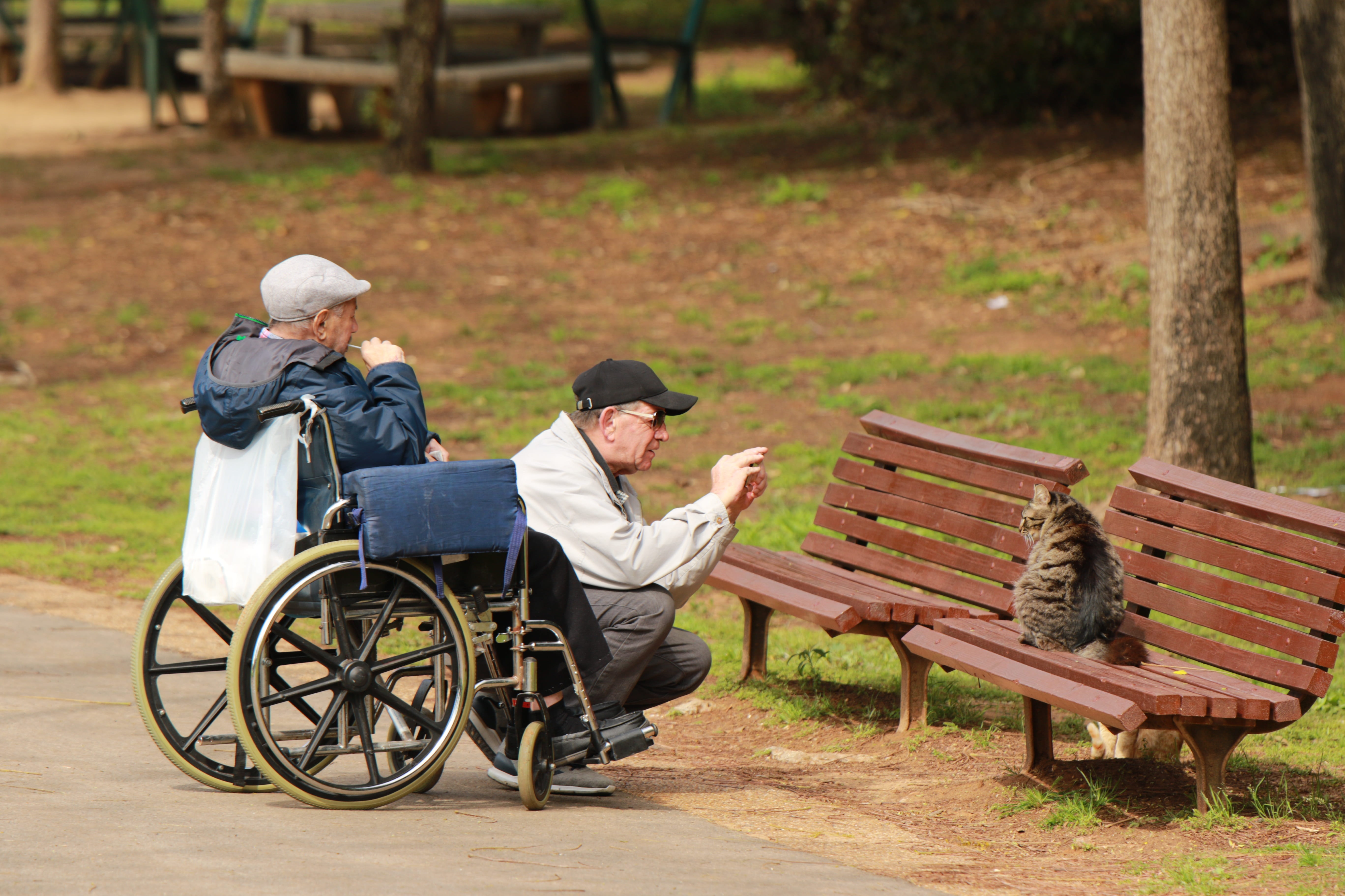 nature, photography, elderly, males, full length, couple - relationship, bench, senior adult, people, seat, medical equipment, physical impairment, park bench, HD Wallpaper