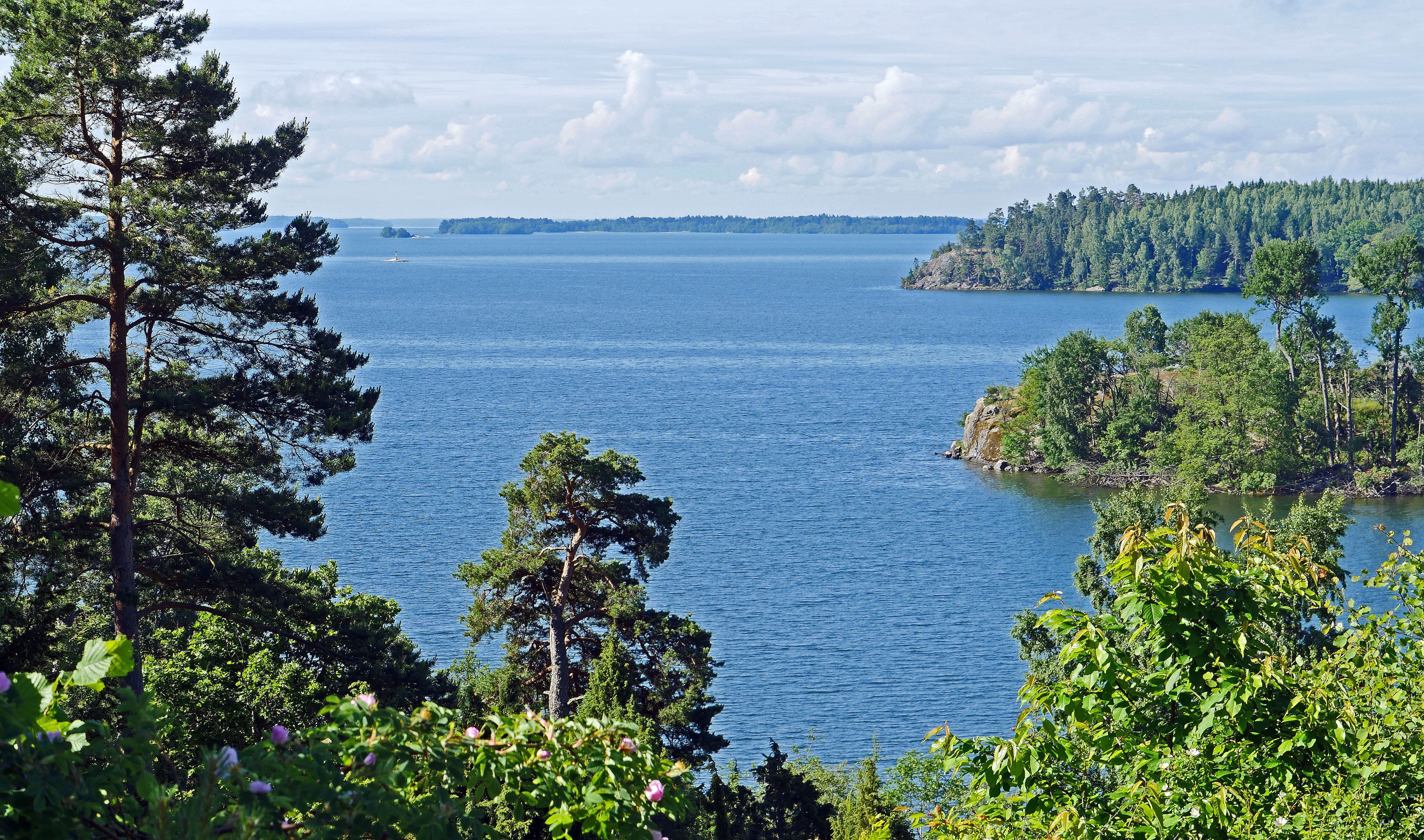 pine, land, Lake, sea, tree, Islands, tranquil scene, no people, Huge, outdoors, mixed forest, 5K, scenics - nature, scenics, the middle of sweden, forest, HD Wallpaper