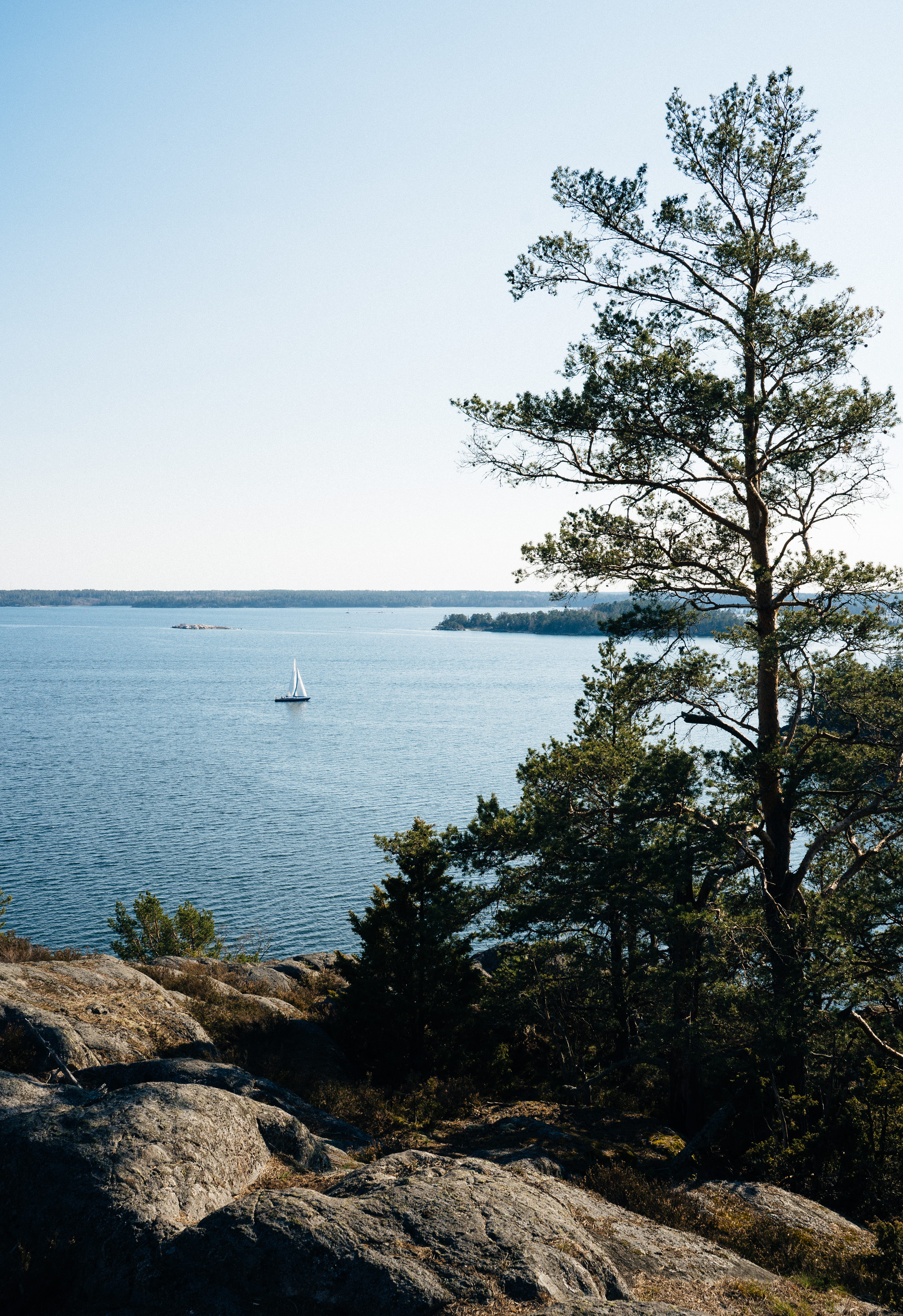 fir, sky, tranquility, boat, no people, land, tranquil scene, tree, horizon, beauty in nature, clear sky, coast, stockholm, outdoors, horizon over water, Phone HD Wallpaper