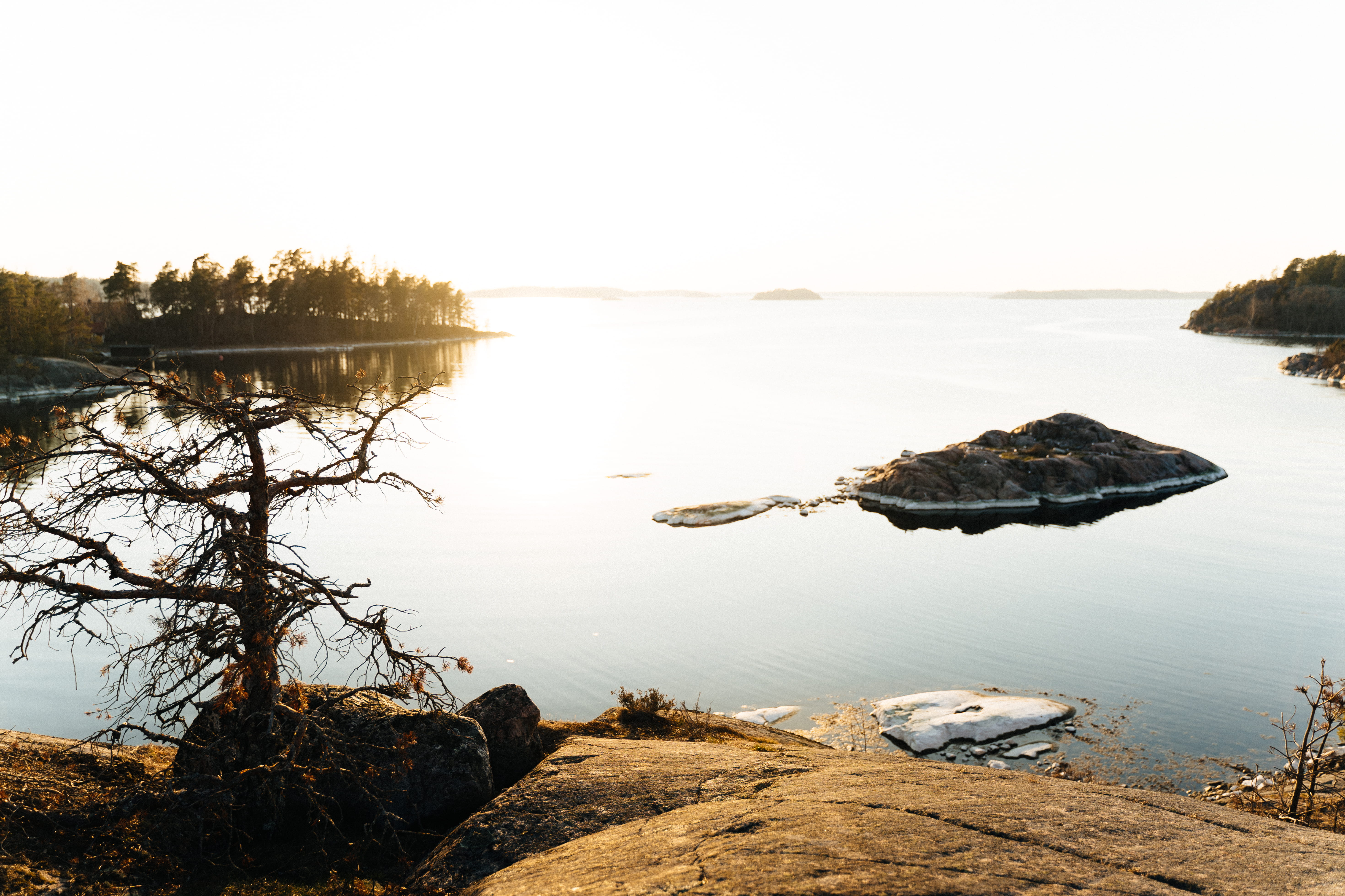 wood, sea, body, day, beauty in nature, stockholms län, animal, coast, bird, beach, suède, reflection, stockholm, rock, shoreline, plant, water, 5K, calm, HD Wallpaper